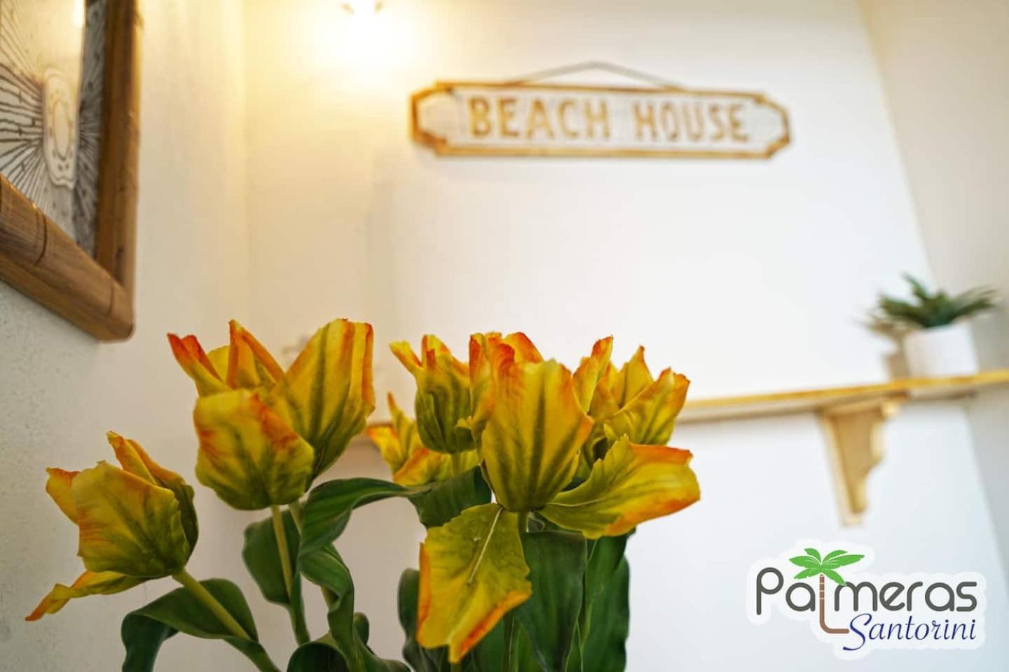 Apartment Palmeras - Playa Santa *