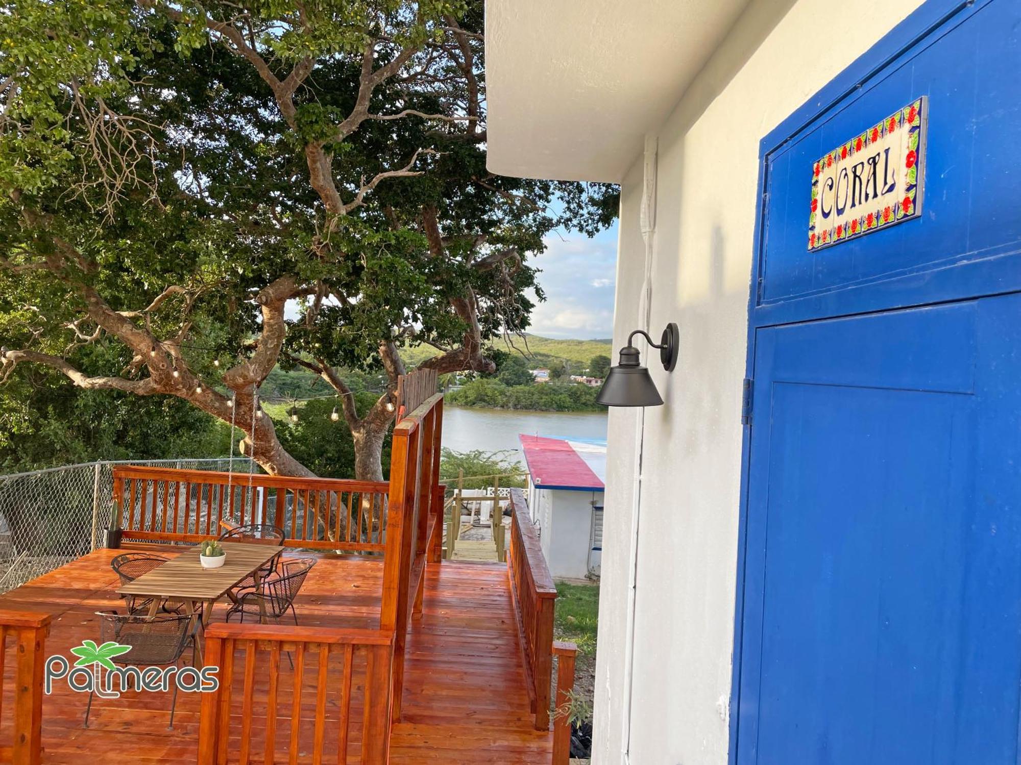 Palmeras - Playa Santa Guanica