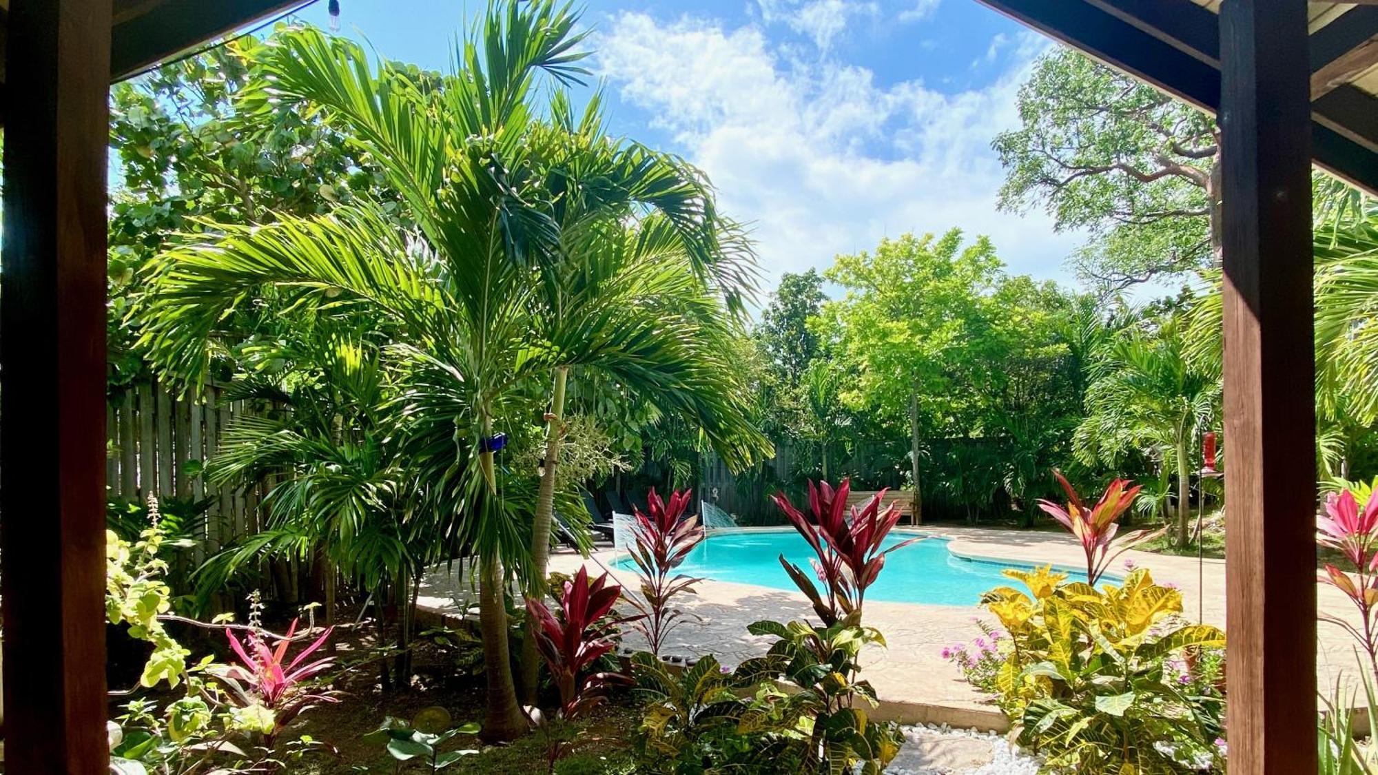 Seaside Family Oasis, King Bed, Private Pool, With Car * Nassau