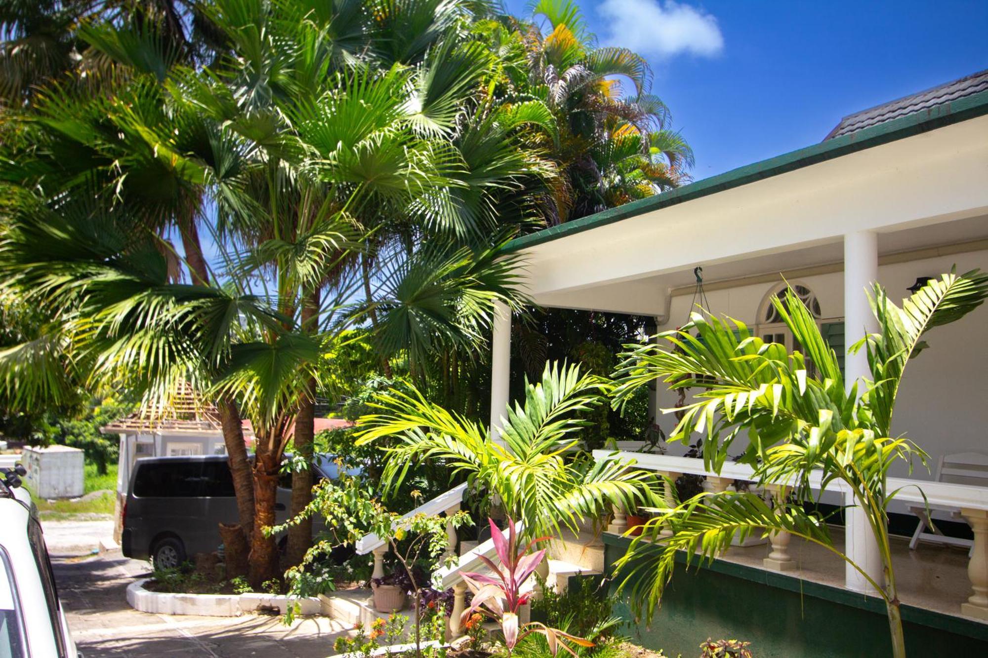 Hotel Match Port Antonio