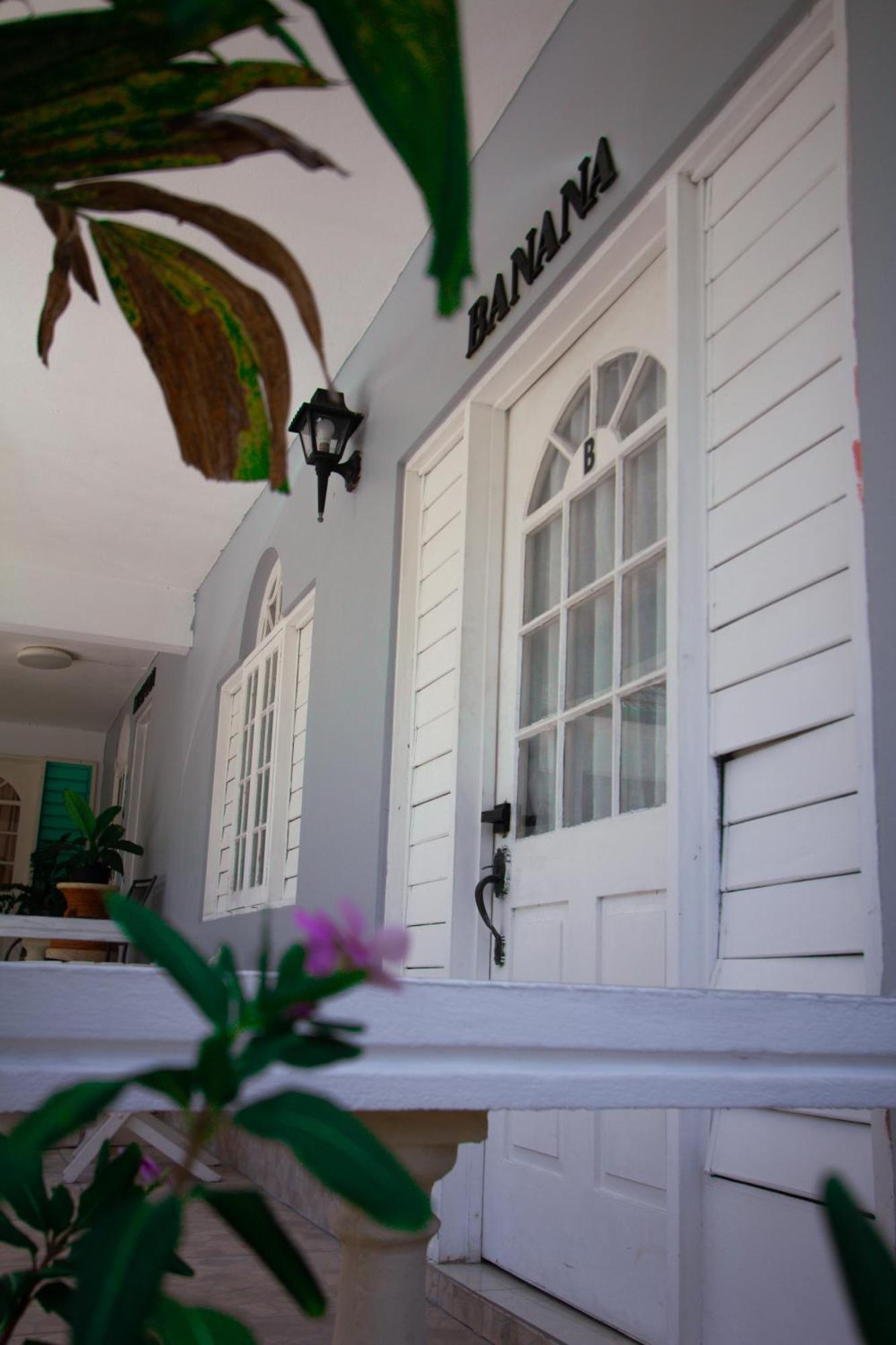Match Hotel Port Antonio