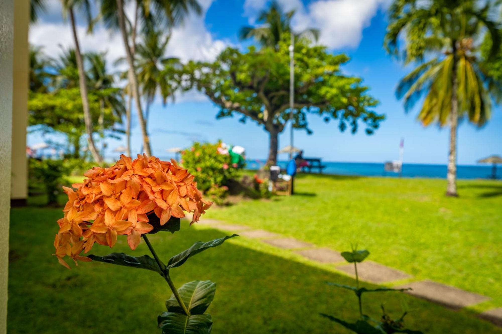 Starfish Tobago 3*