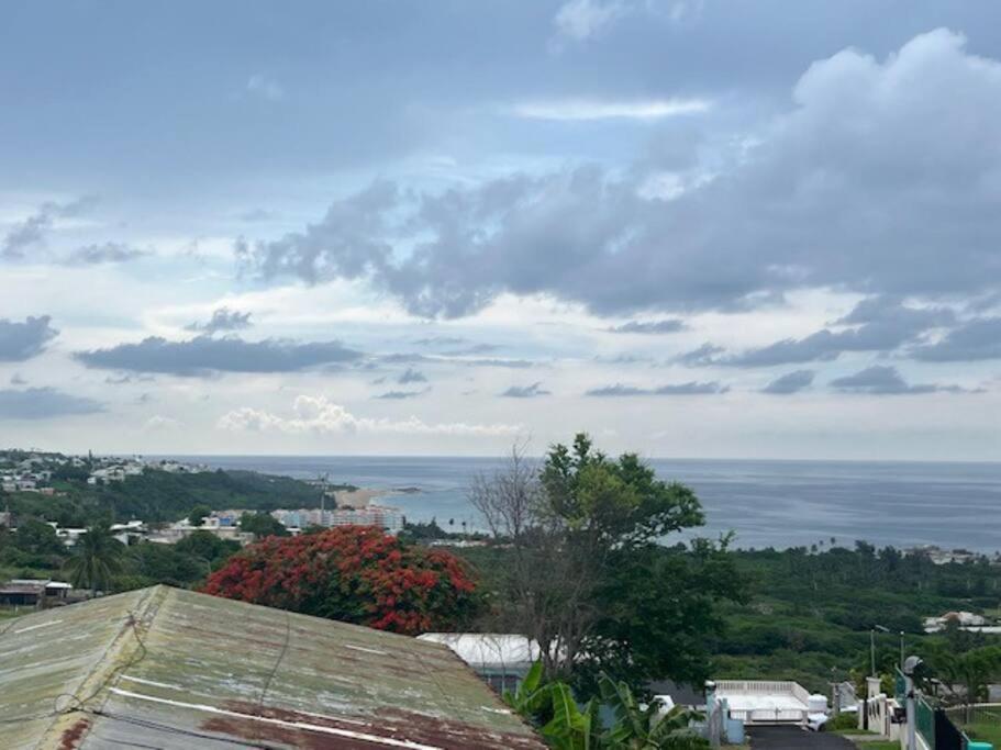Ocean View Rooftop, Casa Estela Mar, Isabela, Cozy, Boutique *