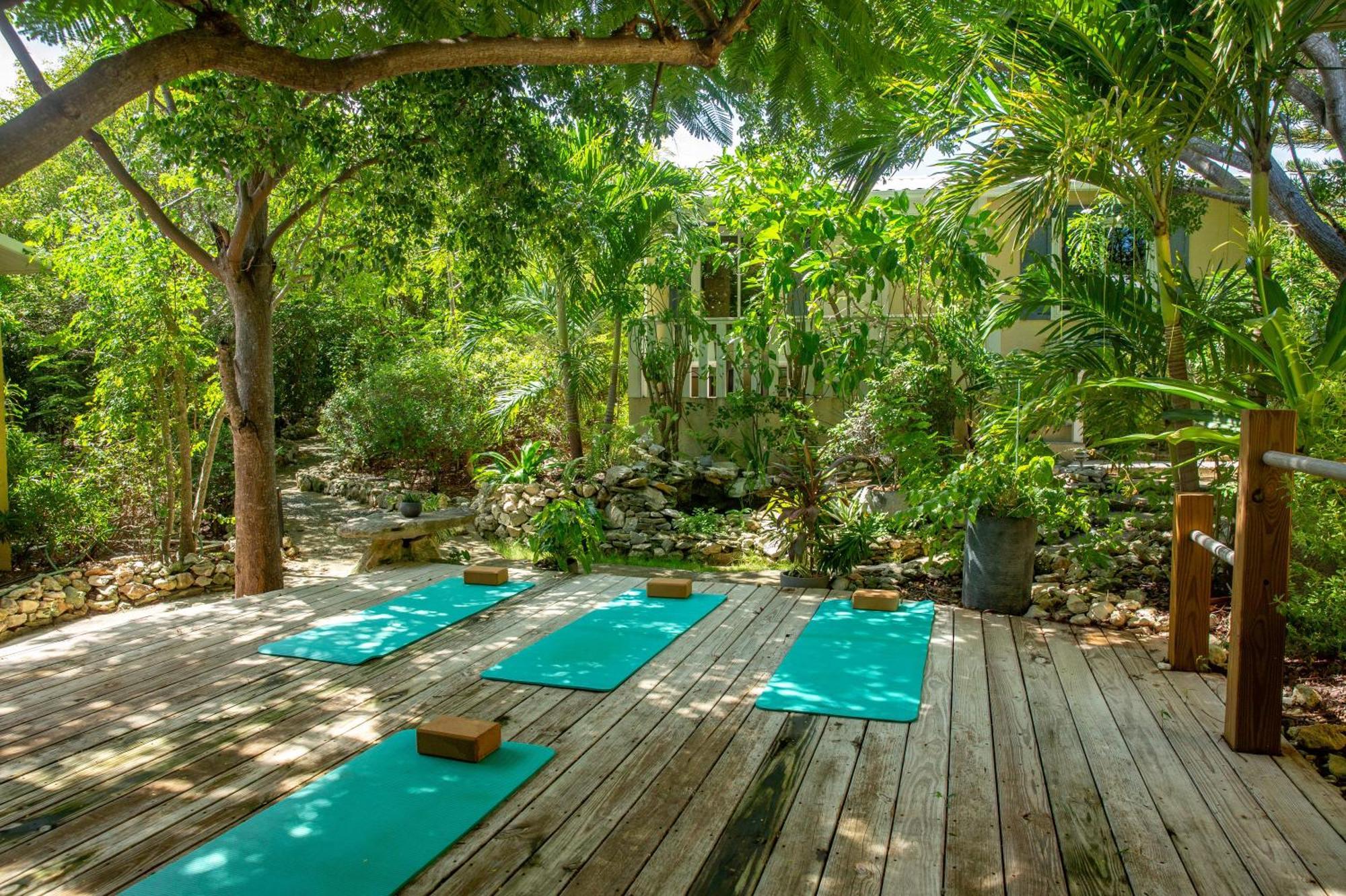 Resort Kokomo Botanical - Caribbean Family Turtle Cove