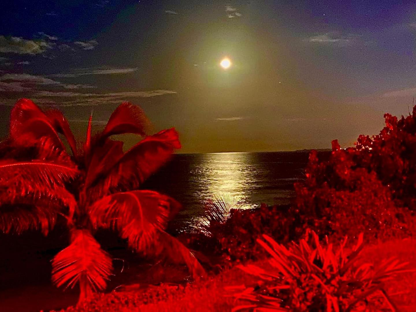 Ocean Front