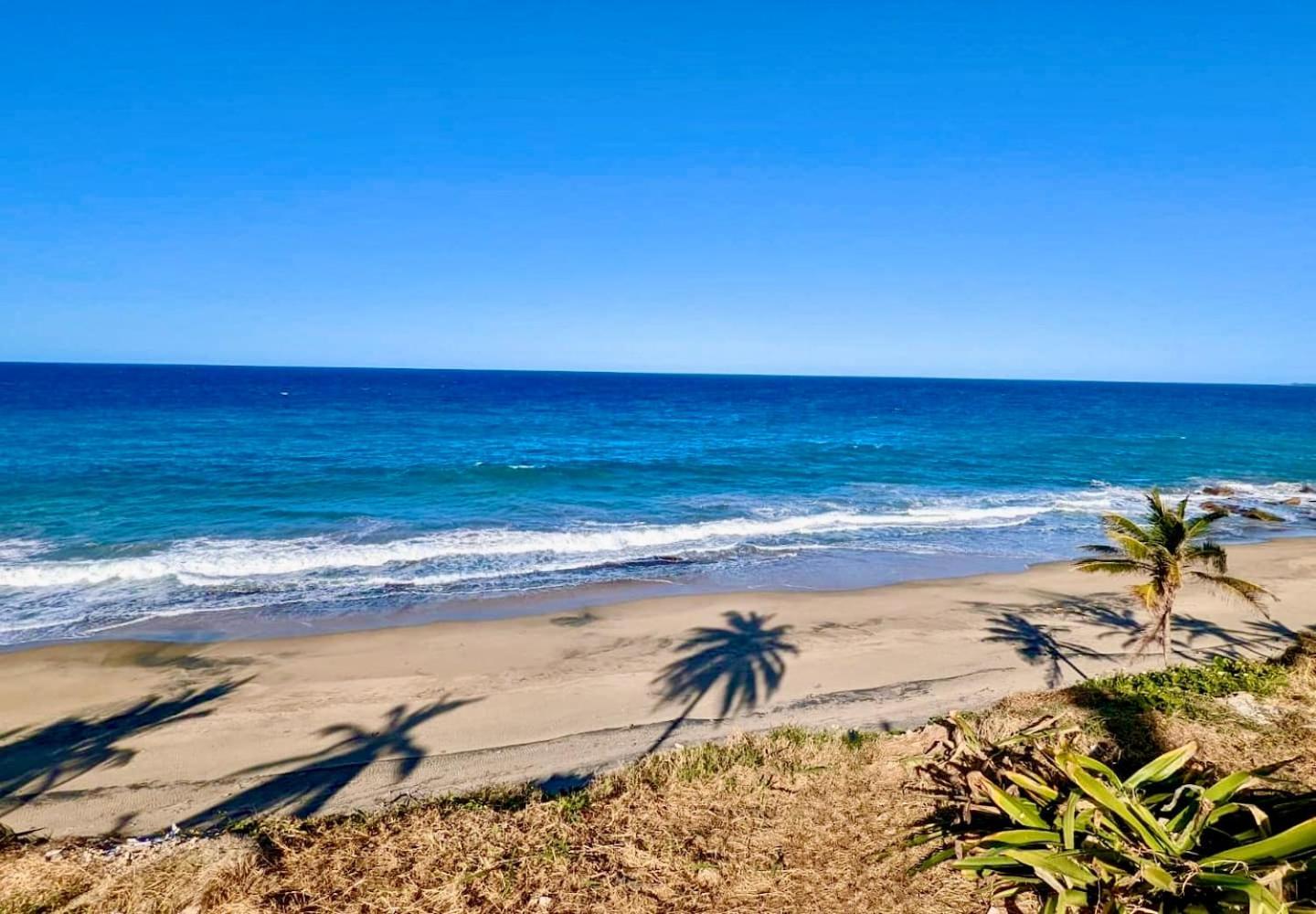 Ocean Front *