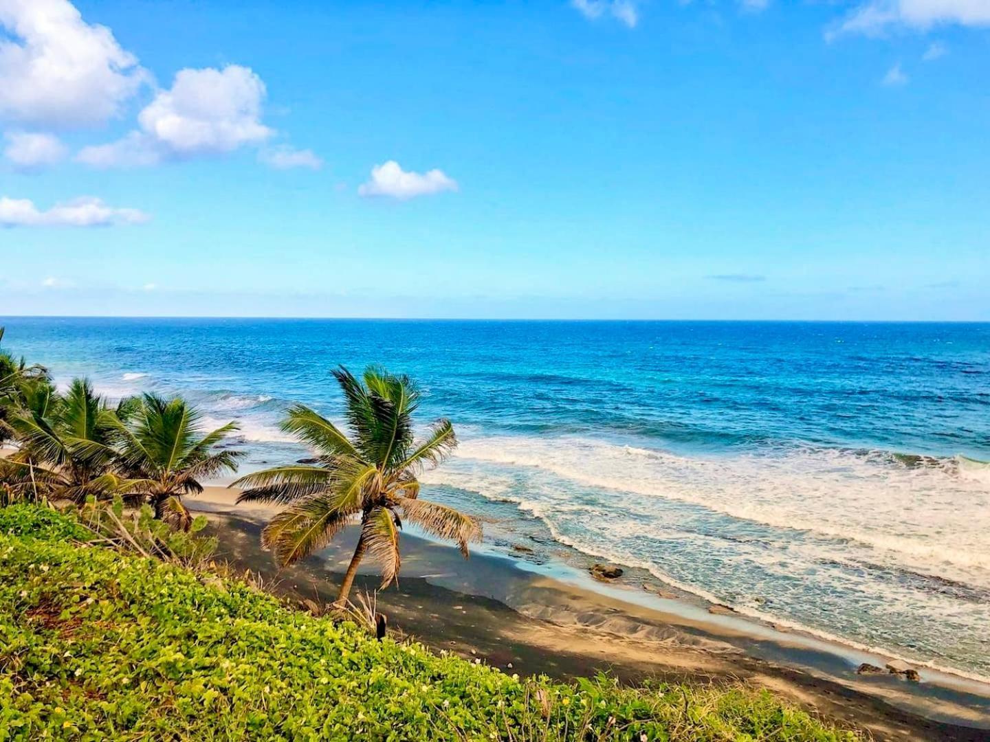 Ocean Front