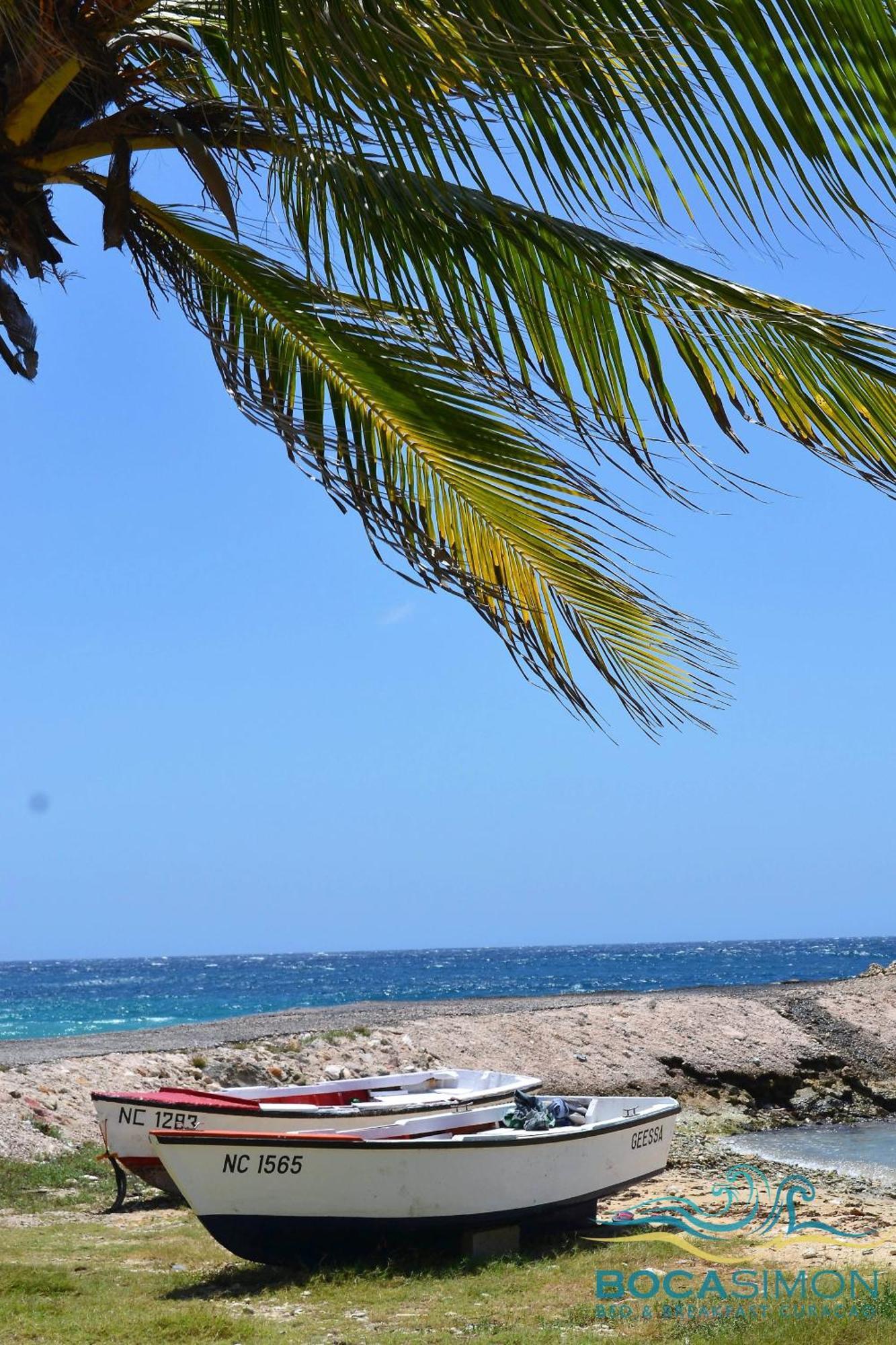 Boca Simon Vacation Curacao Guest house 3*