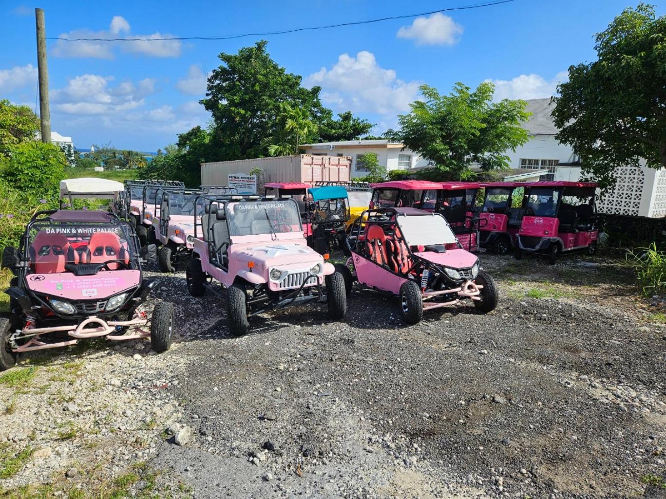 Da Pink And White Palace