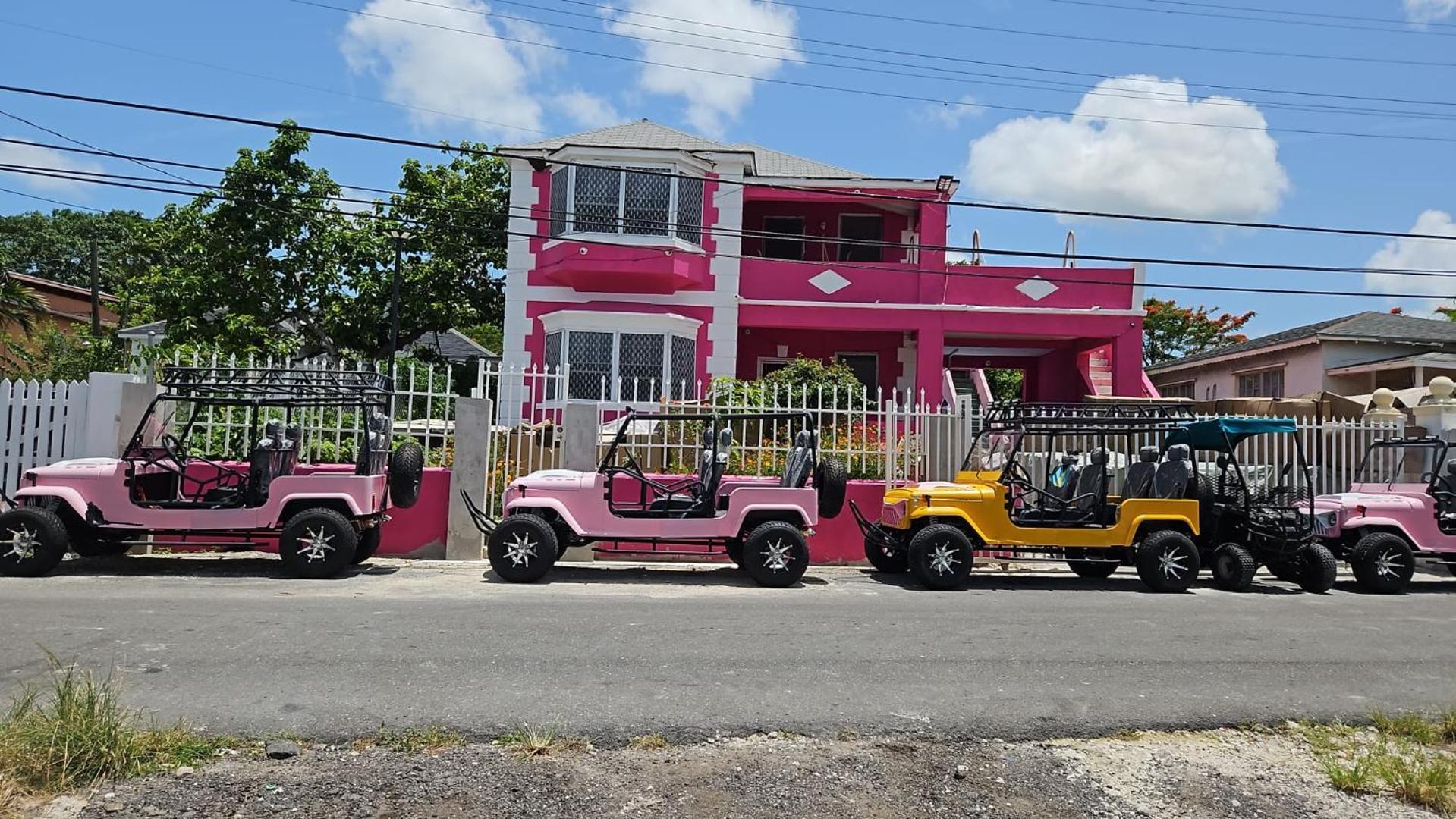 Da Pink And White Palace * Nassau