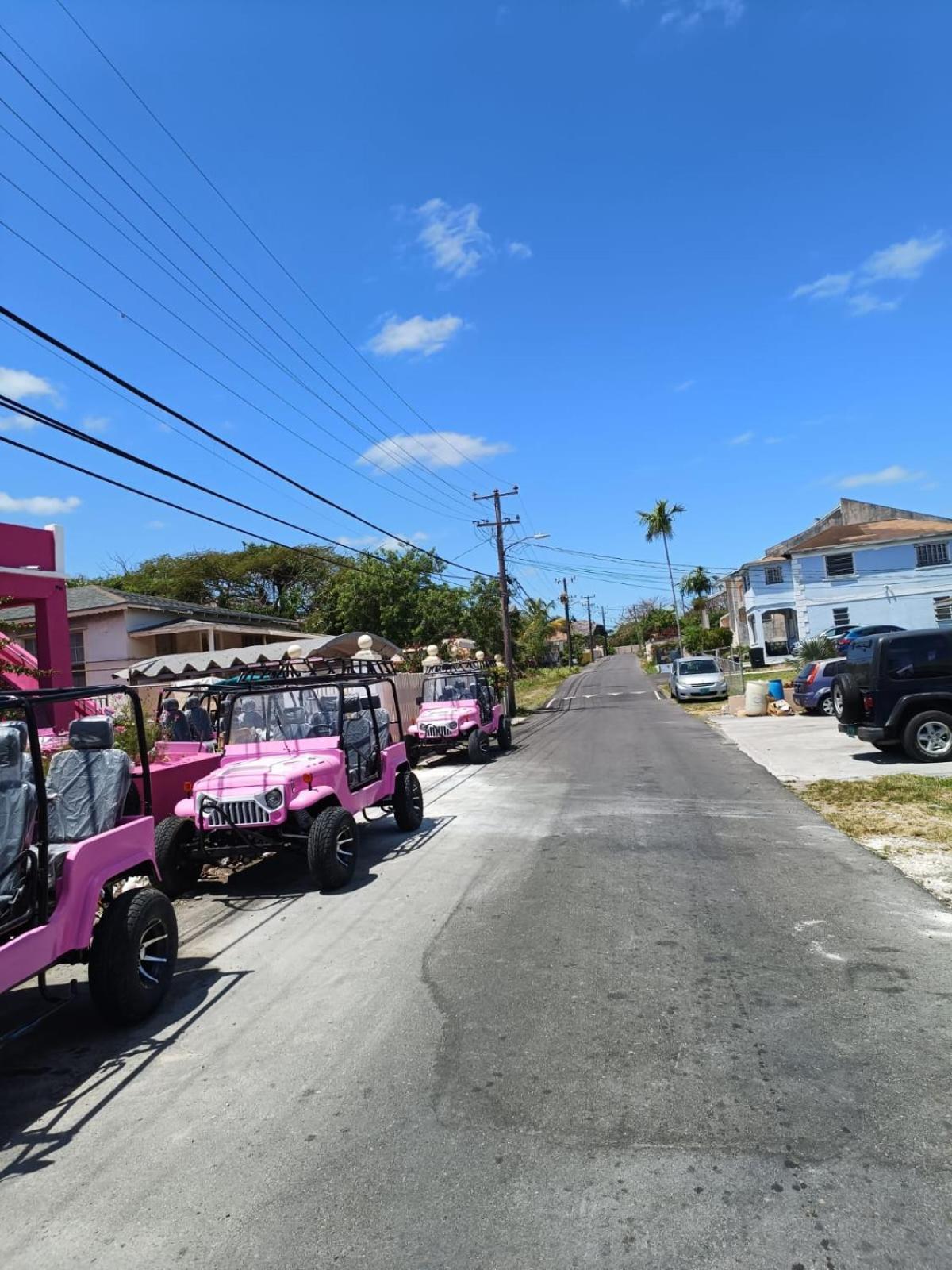 Da Pink And White Palace * Nassau