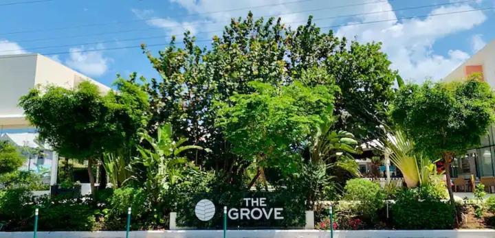 The Grove *