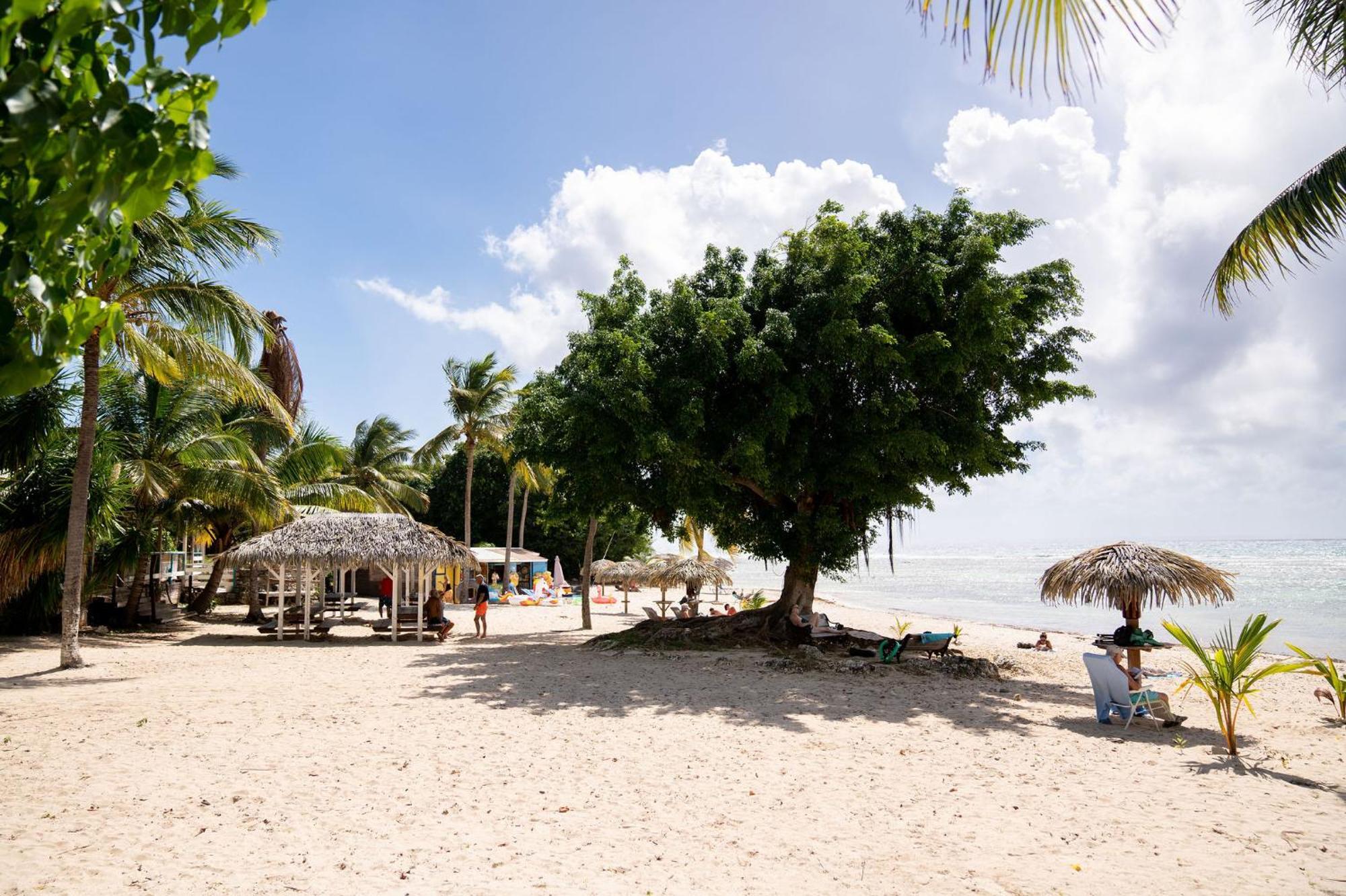 Le Ti' Paradis Tropical, Anse Des Rochers Vue Studio25m2 *