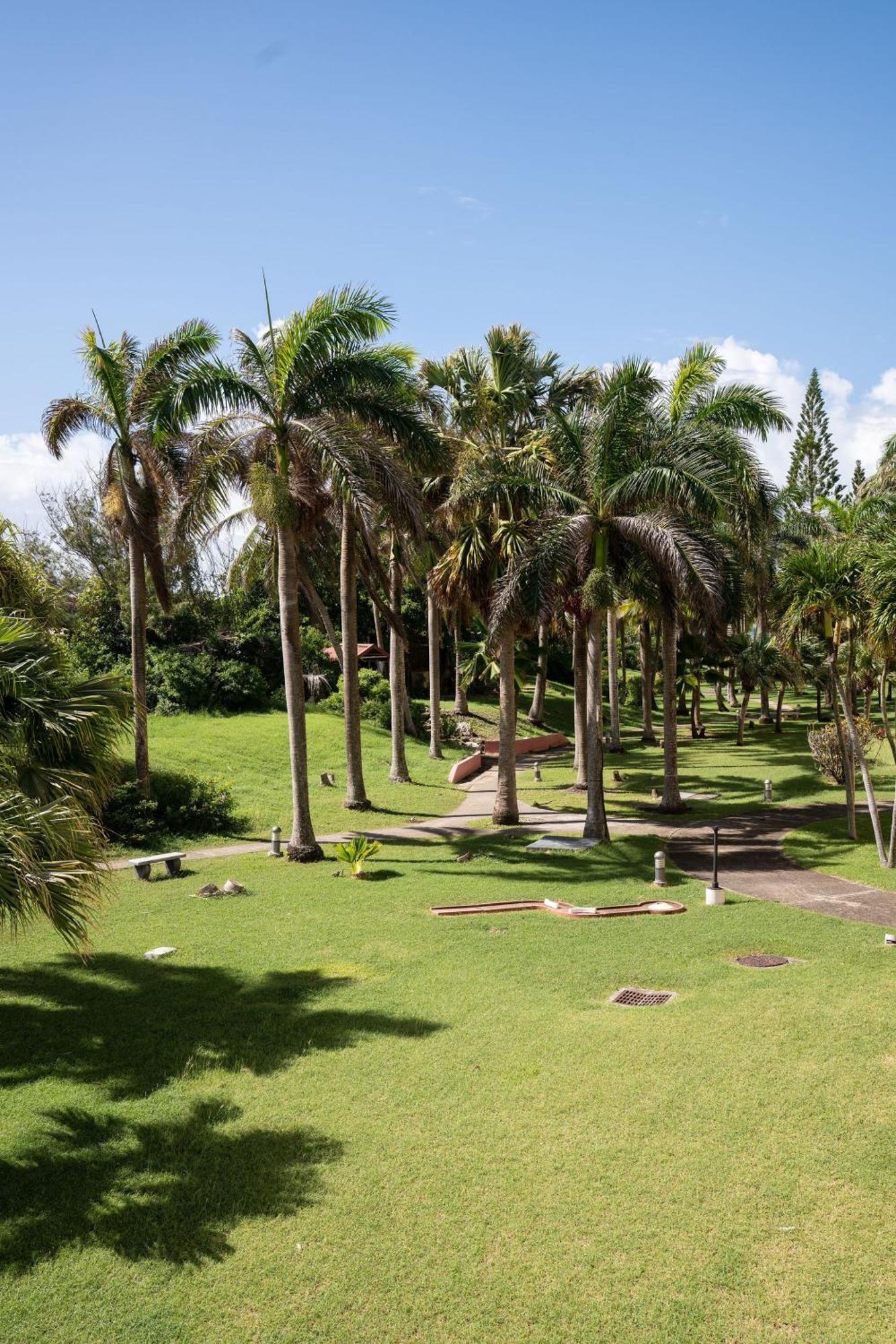 Apartment Le Ti' Paradis Tropical, Anse Des Rochers Vue Studio25m2 Saint-Francois (Grande-Terre)