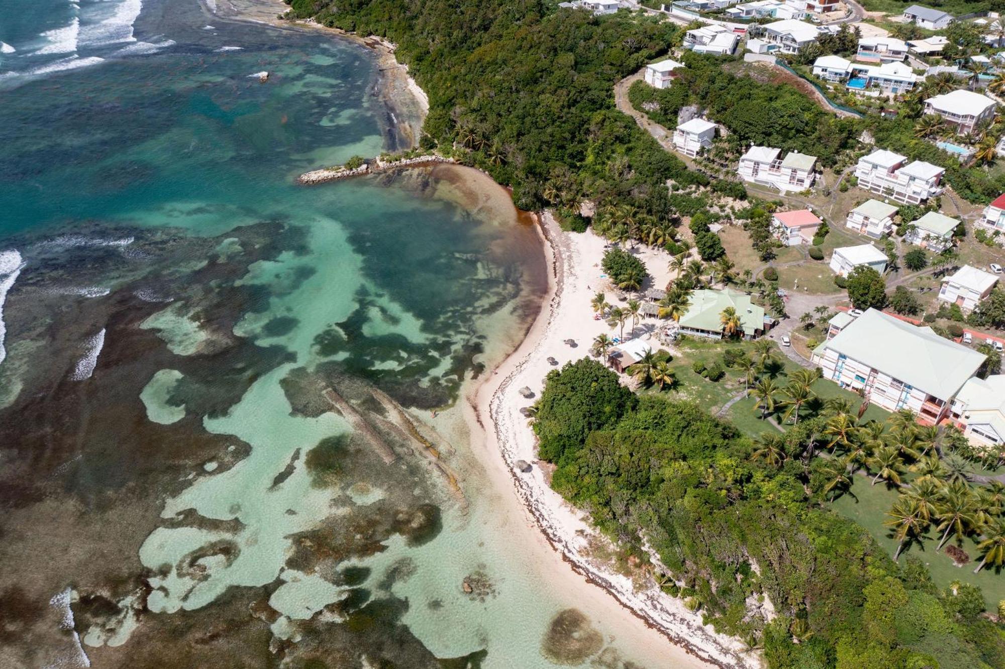 Le Ti' Paradis Tropical, Anse Des Rochers Vue Studio25m2 Apartment Saint-Francois (Grande-Terre)