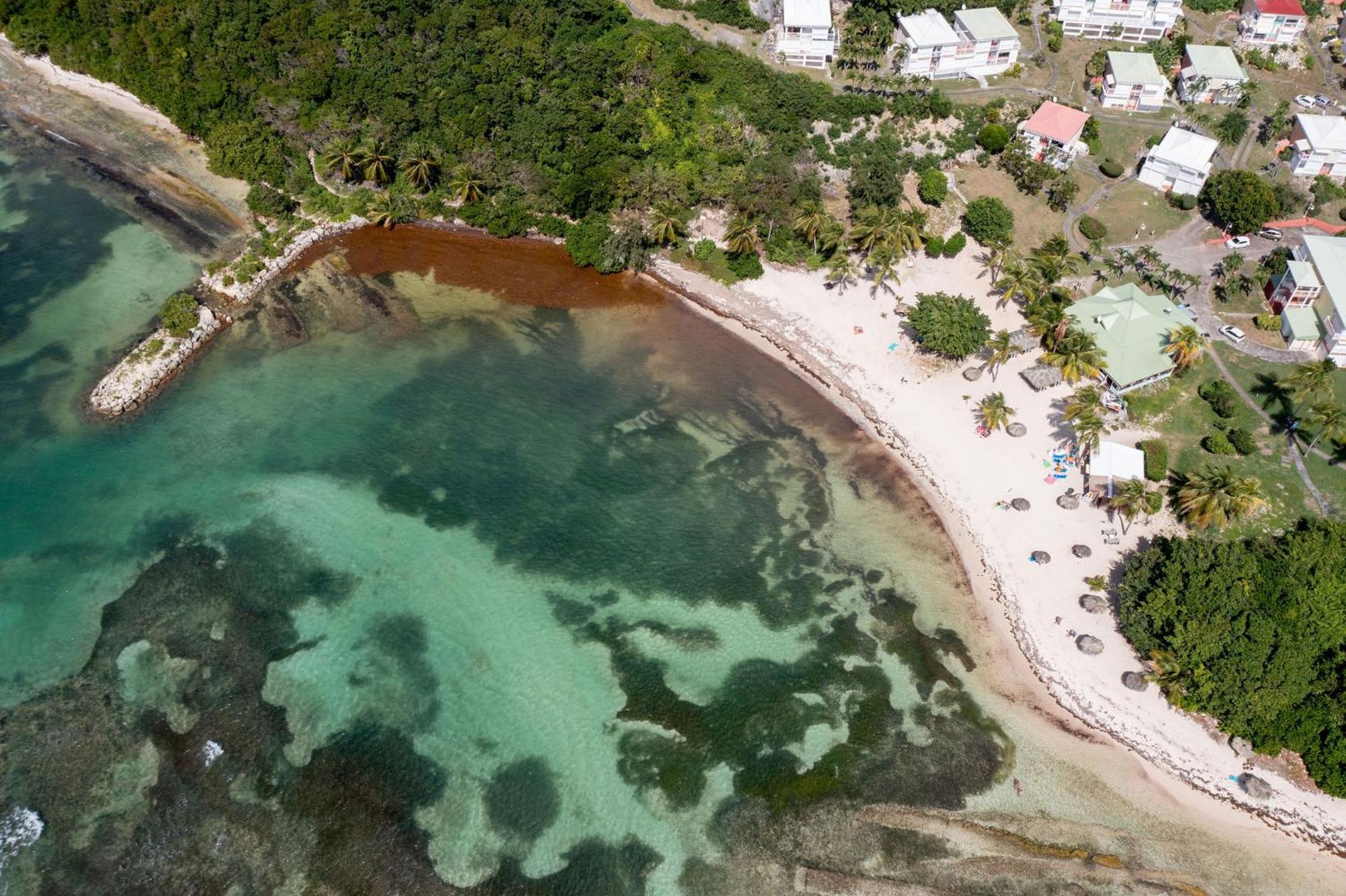 Le Ti' Paradis Tropical, Anse Des Rochers Vue Studio25m2 * Saint-Francois (Grande-Terre)