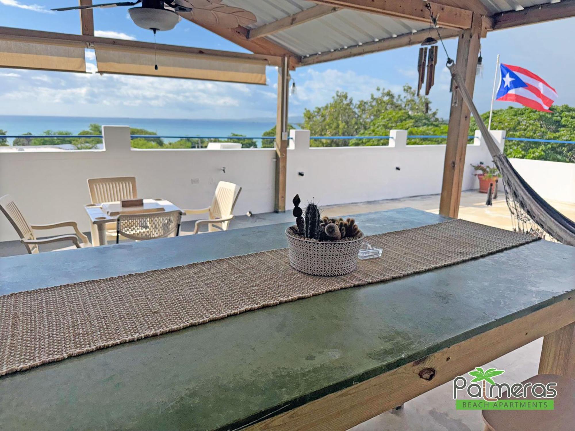 Palmeras - Playa Santa Guanica