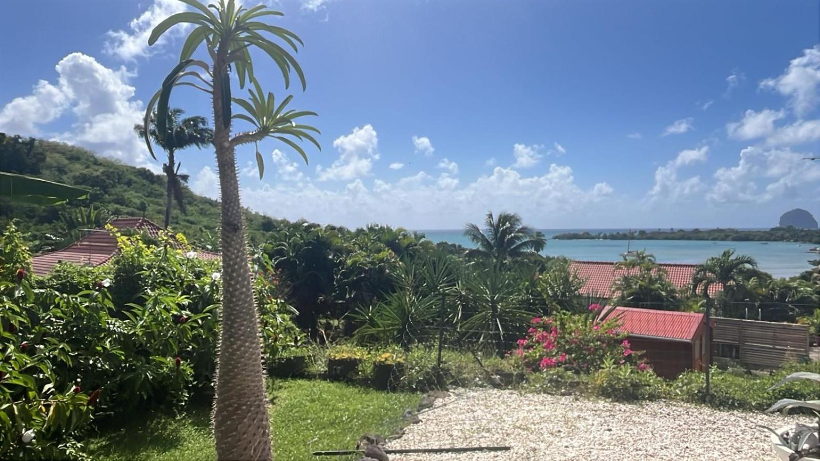 Bleue, Piscine, Vue Villa Le Diamant