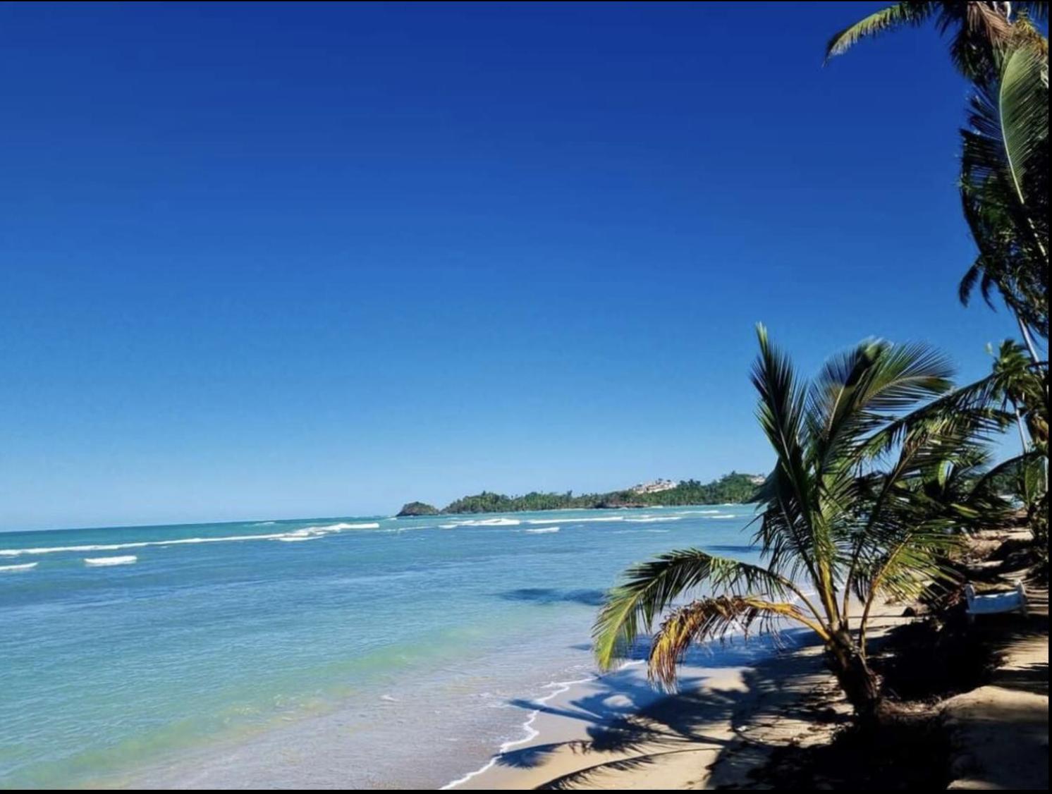 Apartment Luxury 2 Bedroom Apt, 1 Min Walk To Punta Popy Beach, Pool, Ac, Fast Wifi, In Terrenas *
