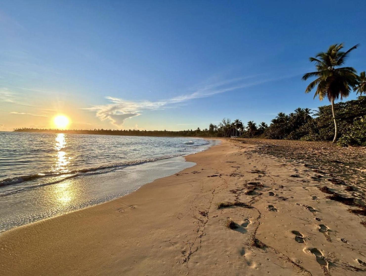 Luxury 2 Bedroom Apt, 1 Min Walk To Punta Popy Beach, Pool, Ac, Fast Wifi, In Terrenas Apartment Las Terrenas
