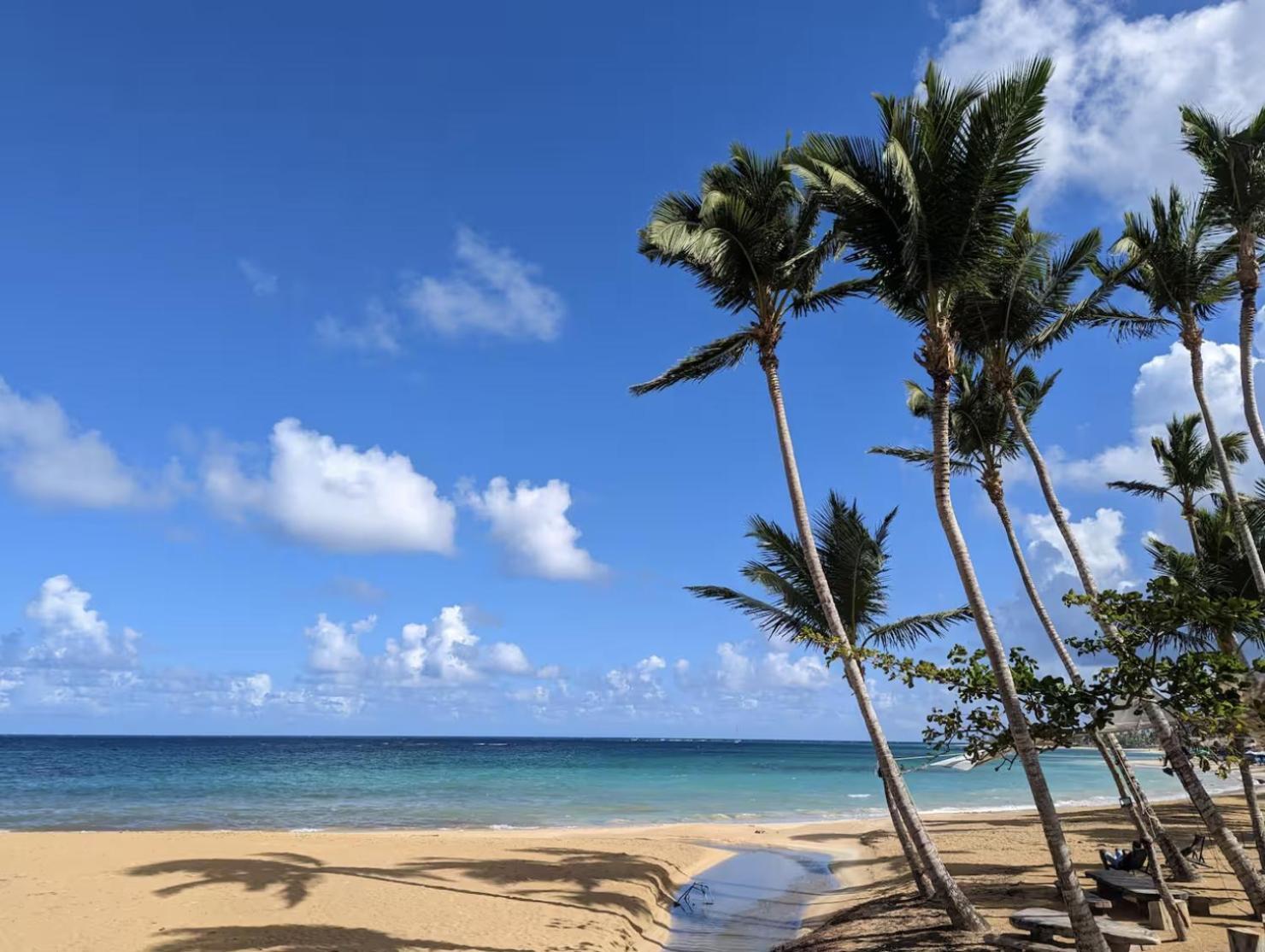 Luxury 2 Bedroom Apt, 1 Min Walk To Punta Popy Beach, Pool, Ac, Fast Wifi, In Terrenas Las Terrenas