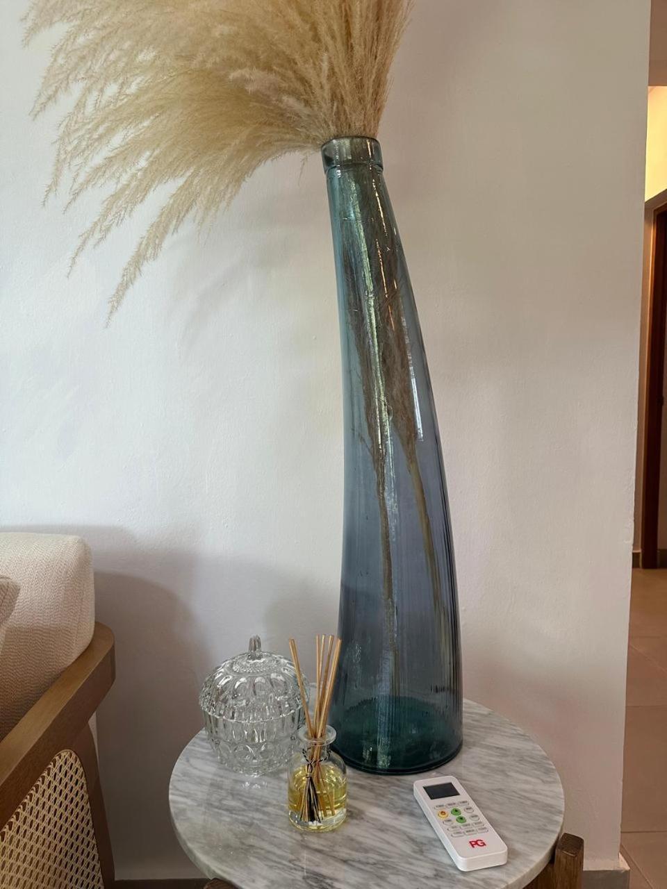 Luxury 2 Bedroom Apt, 1 Min Walk To Punta Popy Beach, Pool, Ac, Fast Wifi, In Terrenas Apartment