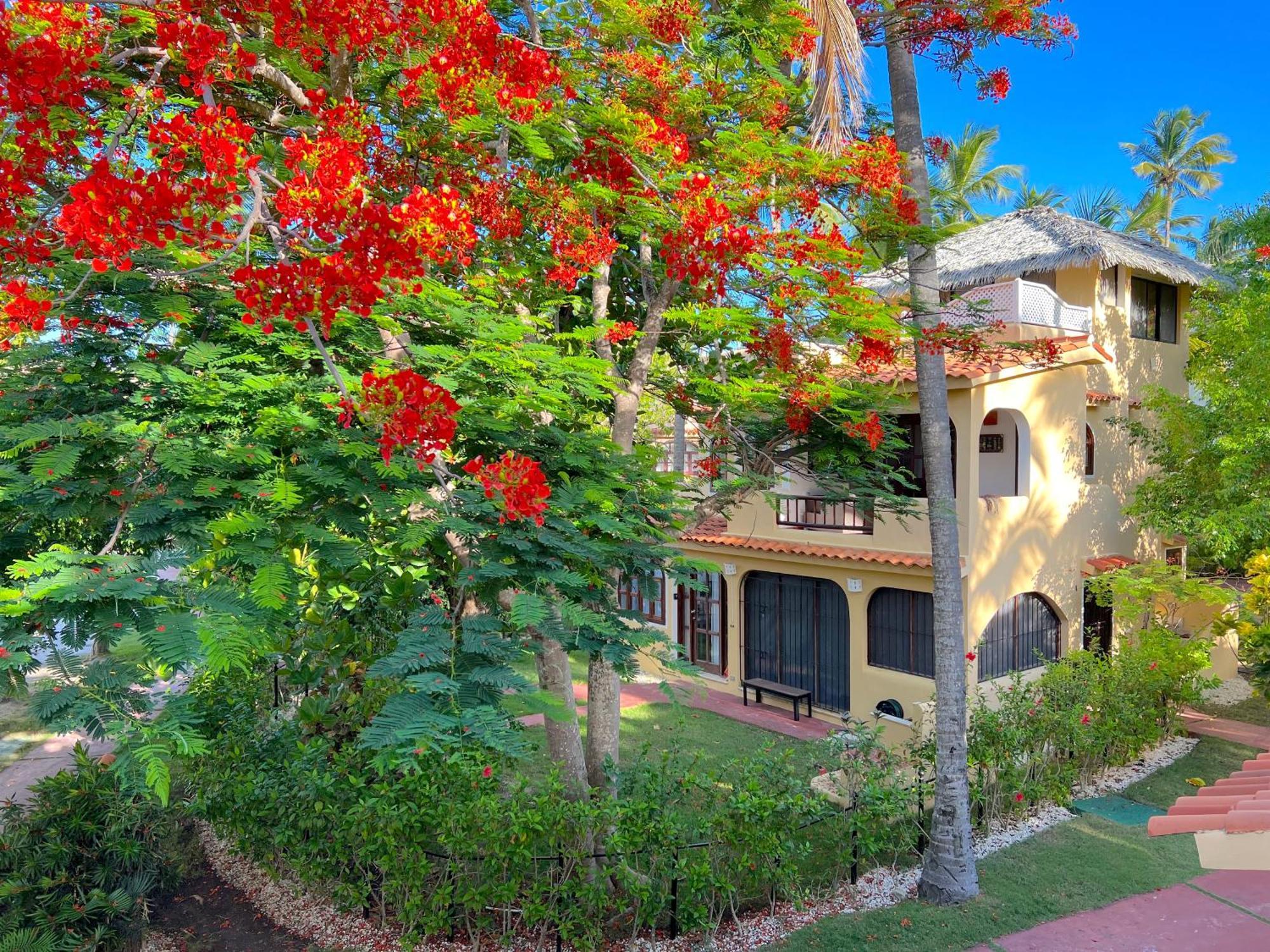 Los Corales And - Beach Club, Spa, Restaurants Hotel