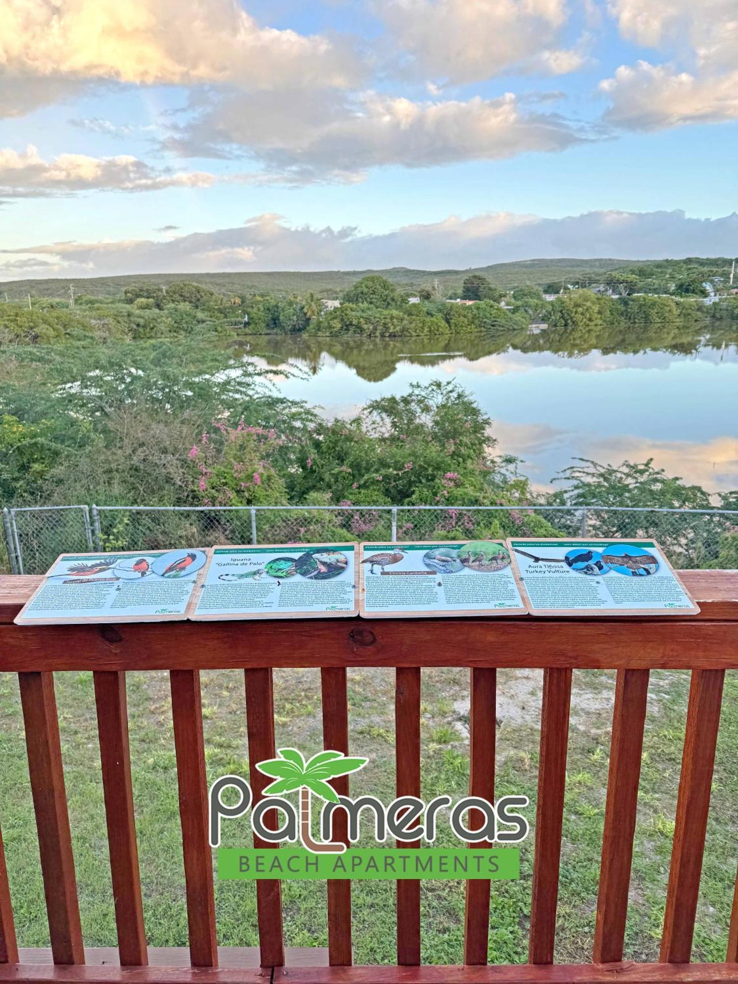 Palmeras - Playa Santa *
