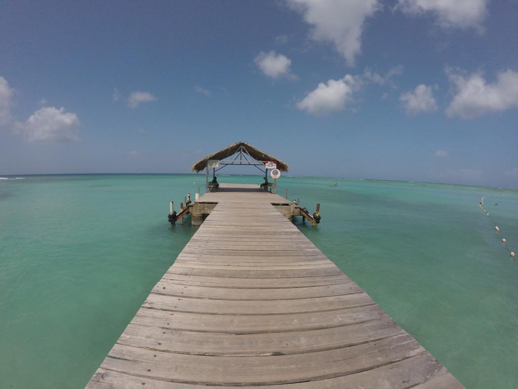 Fish Tobago Guest house Buccoo