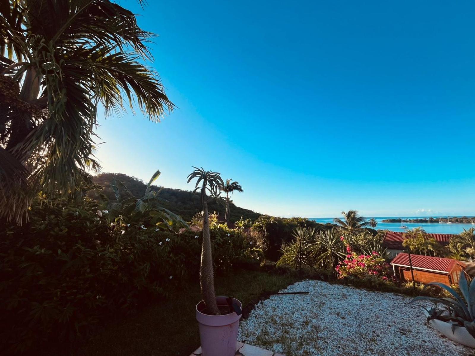 Bleue, Piscine, Vue Villa Le Diamant