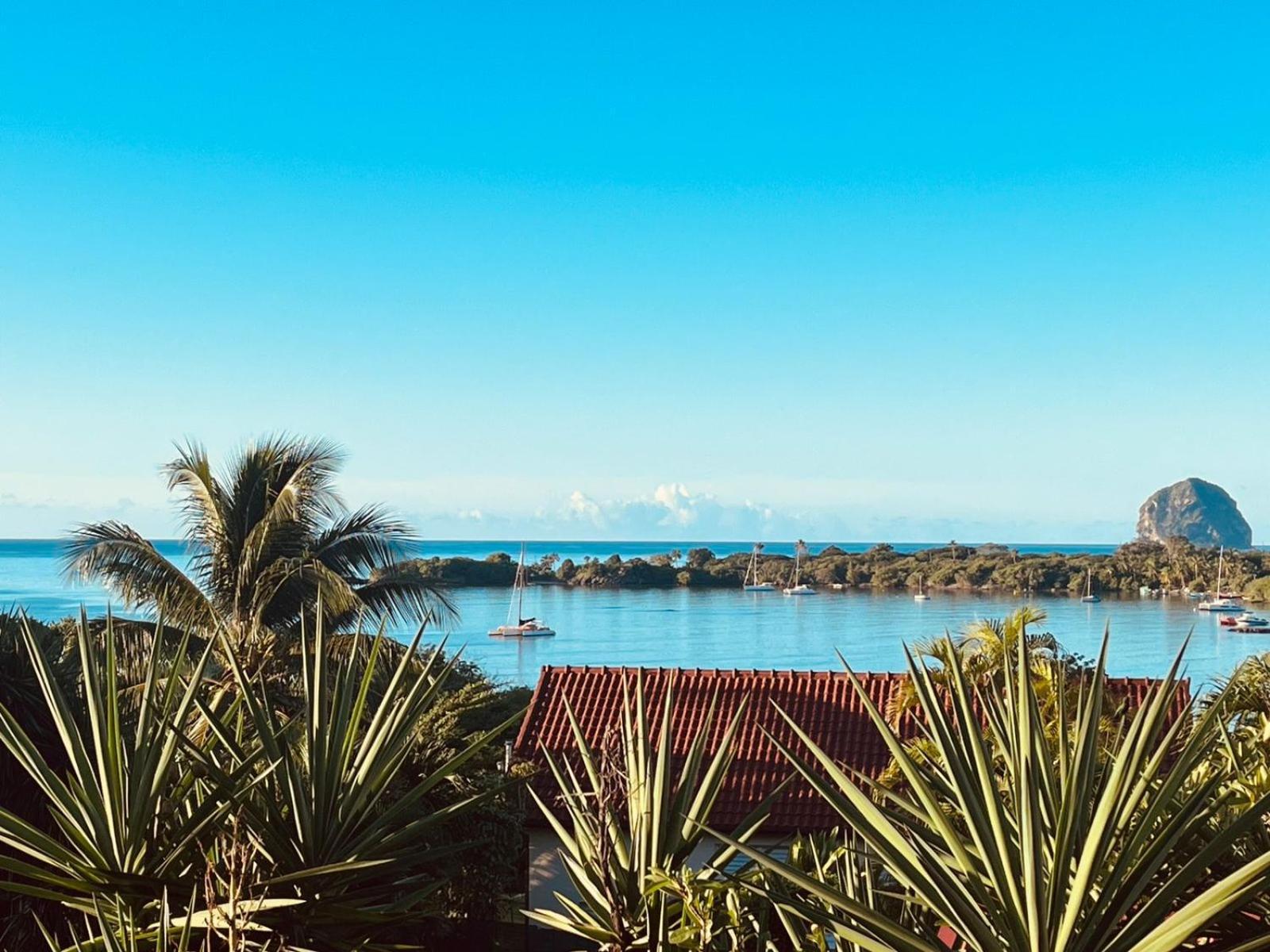 Bleue, Piscine, Vue Le Diamant