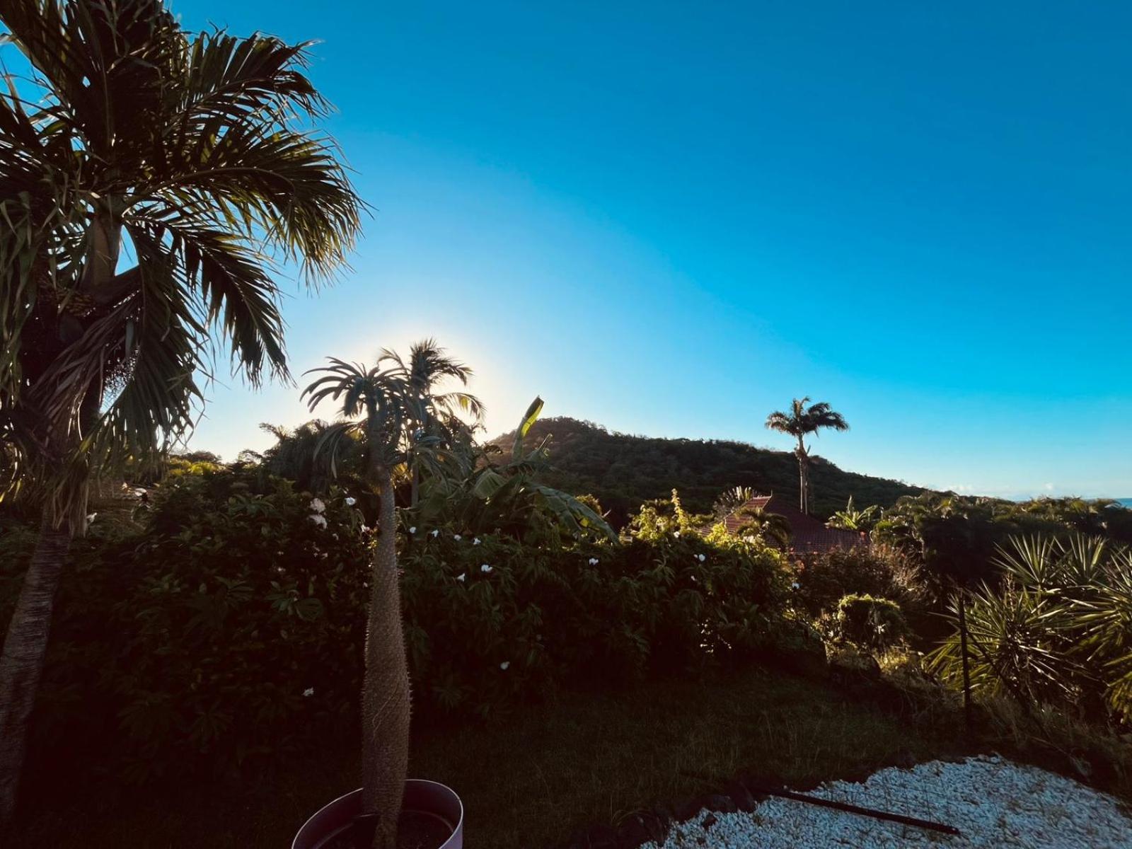 Bleue, Piscine, Vue Villa *