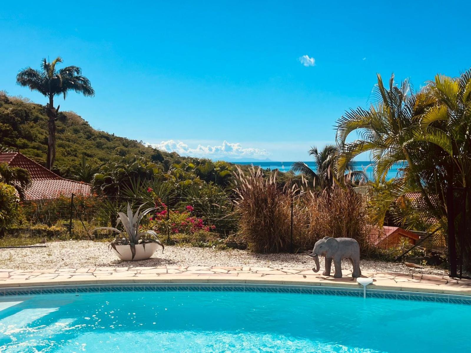 Bleue, Piscine, Vue *