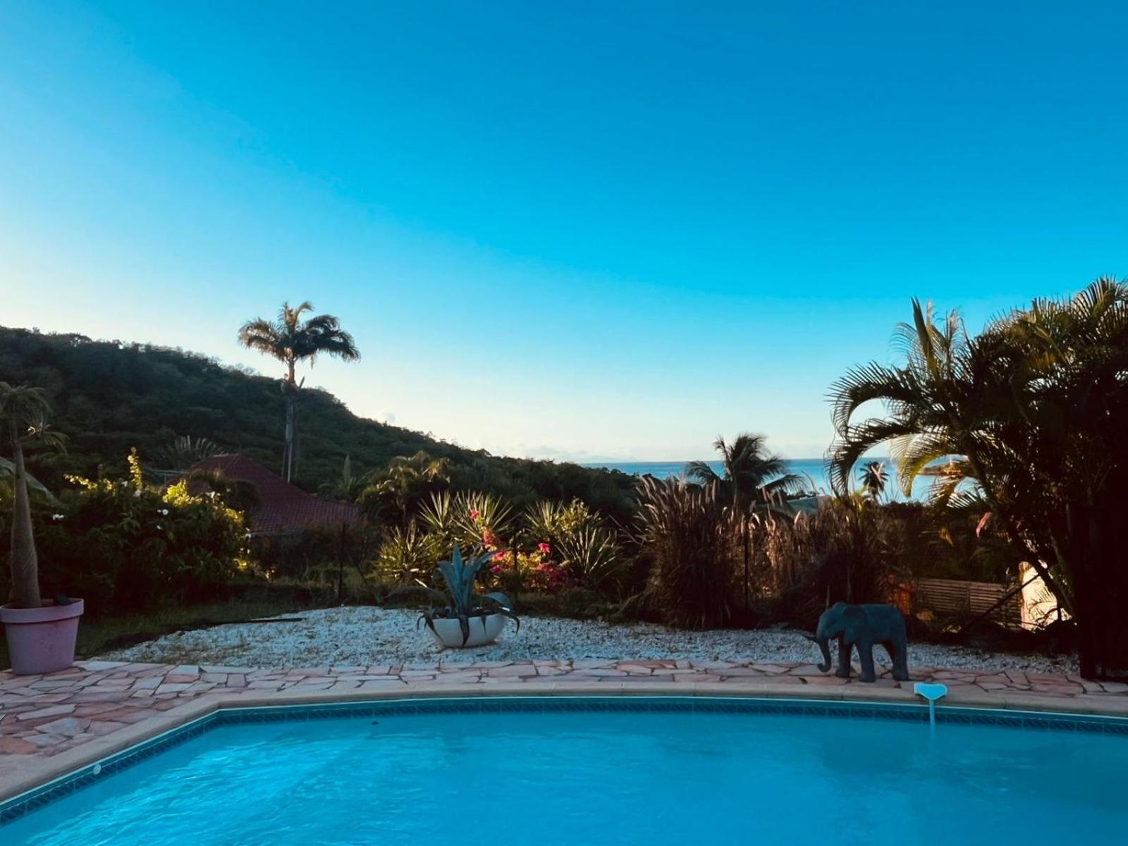 Bleue, Piscine, Vue