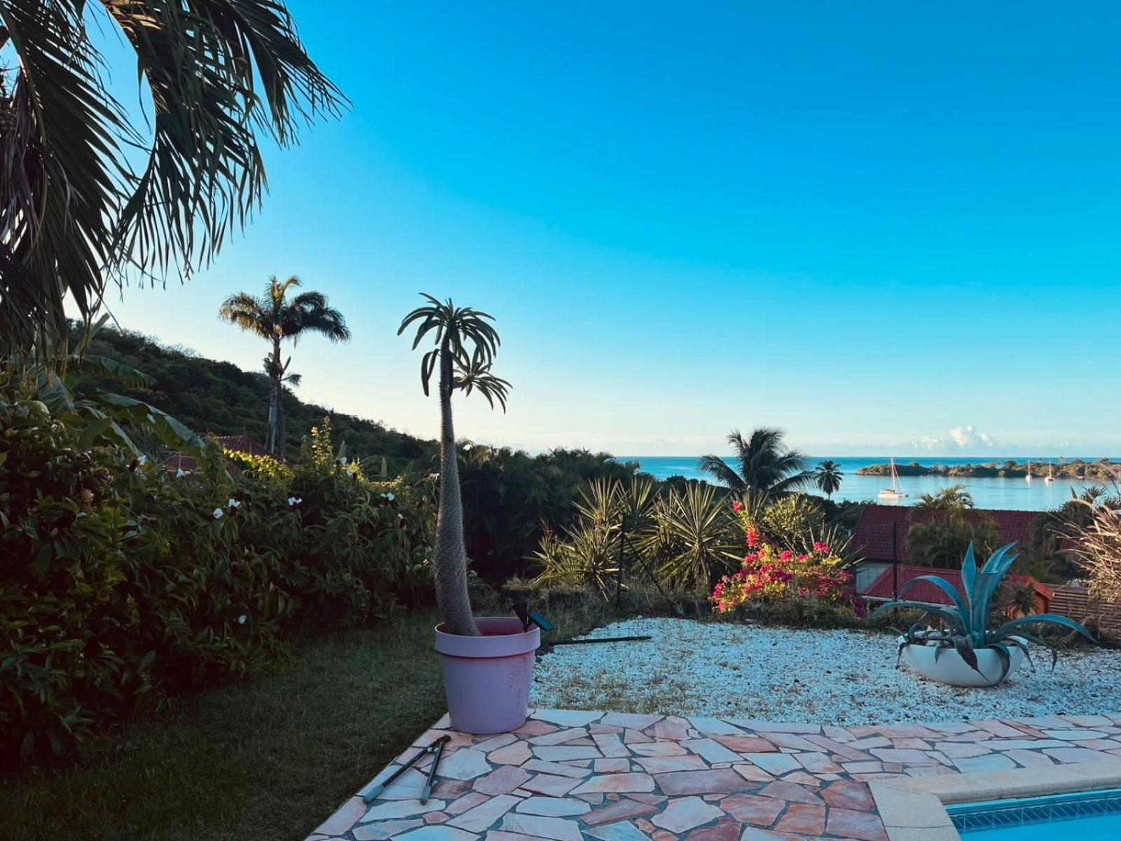 Bleue, Piscine, Vue * Le Diamant
