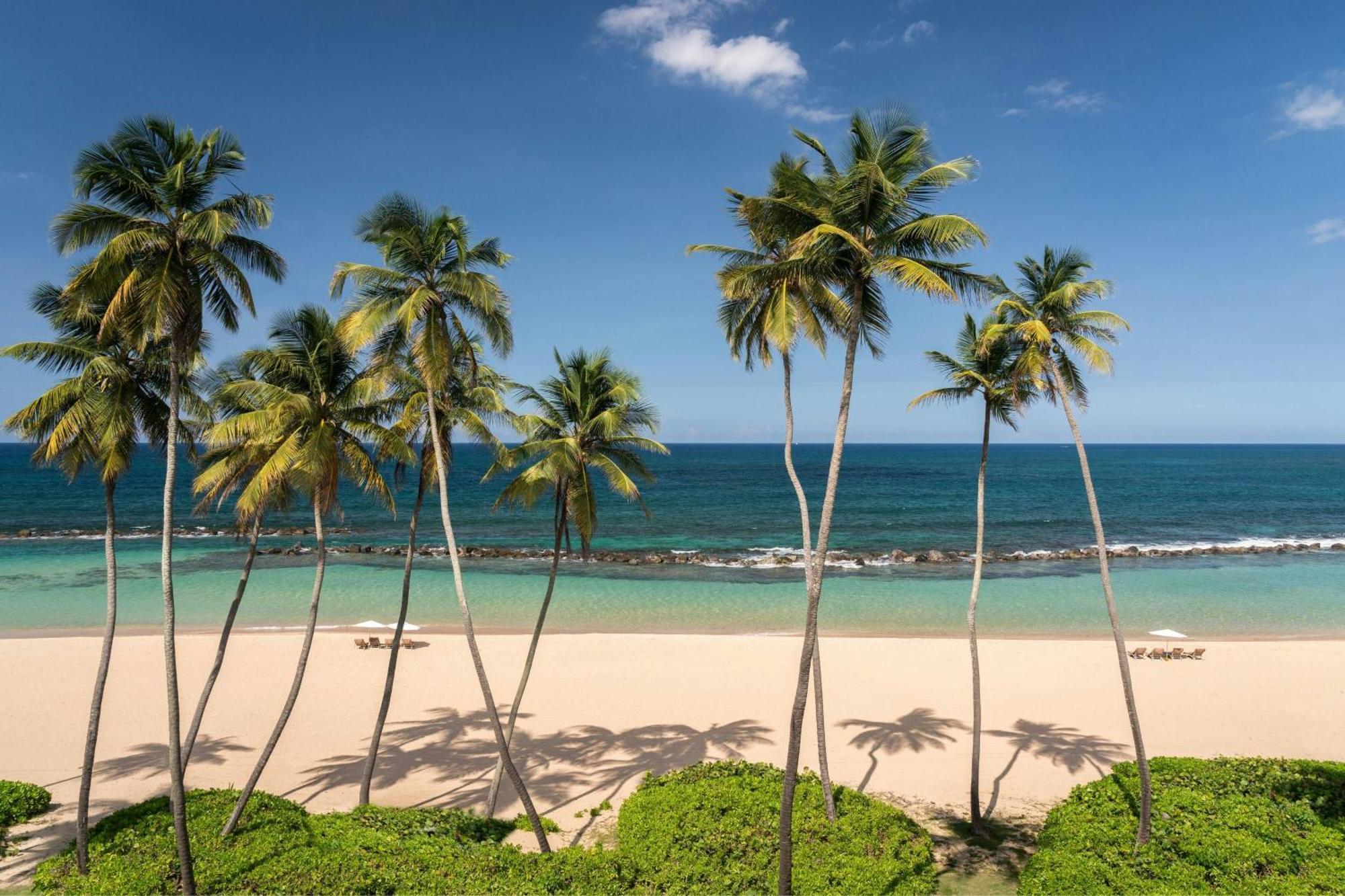 Beach, A Ritz-carlton Reserve