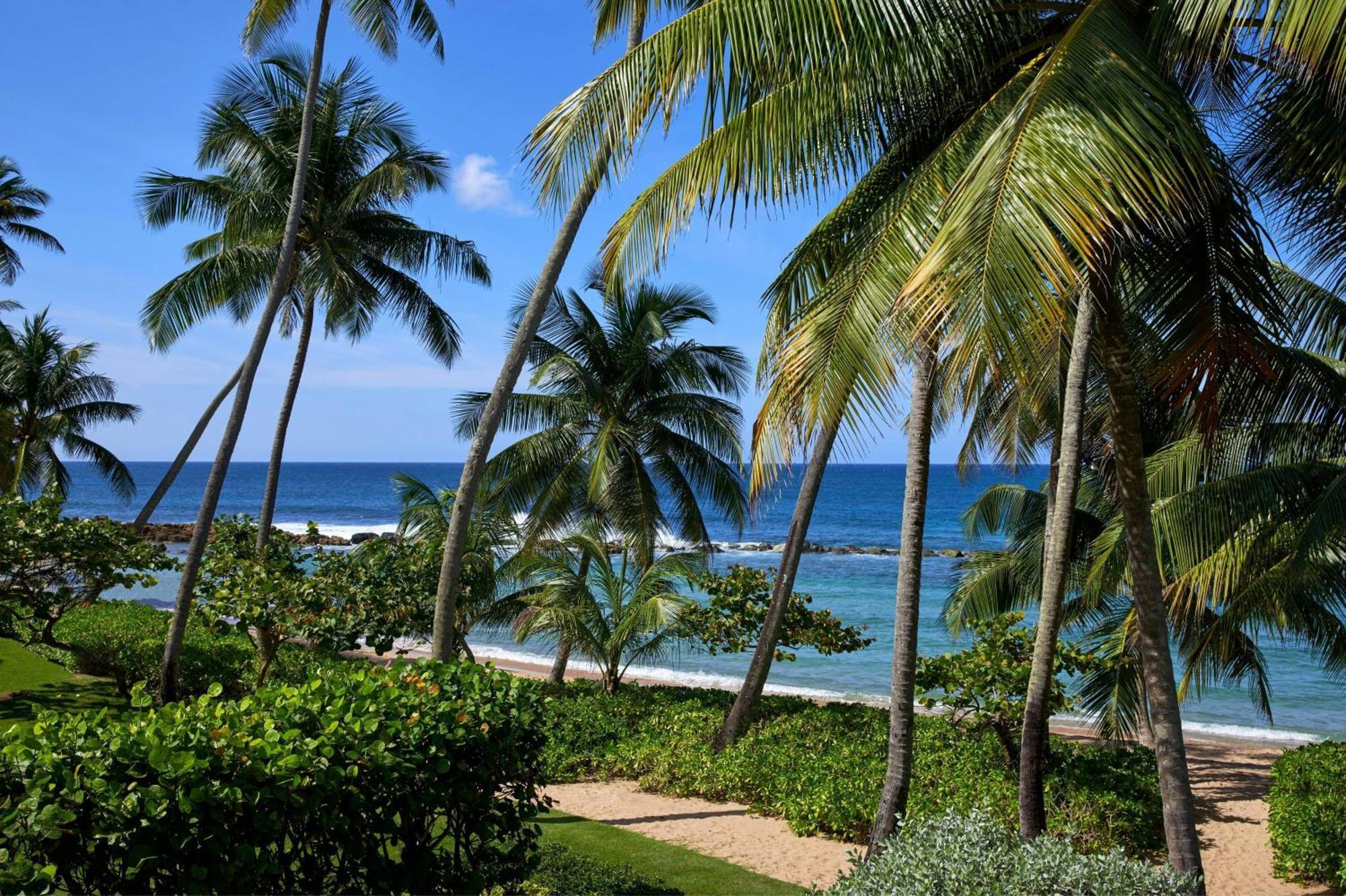 Resort Beach, A Ritz-carlton Reserve Dorado