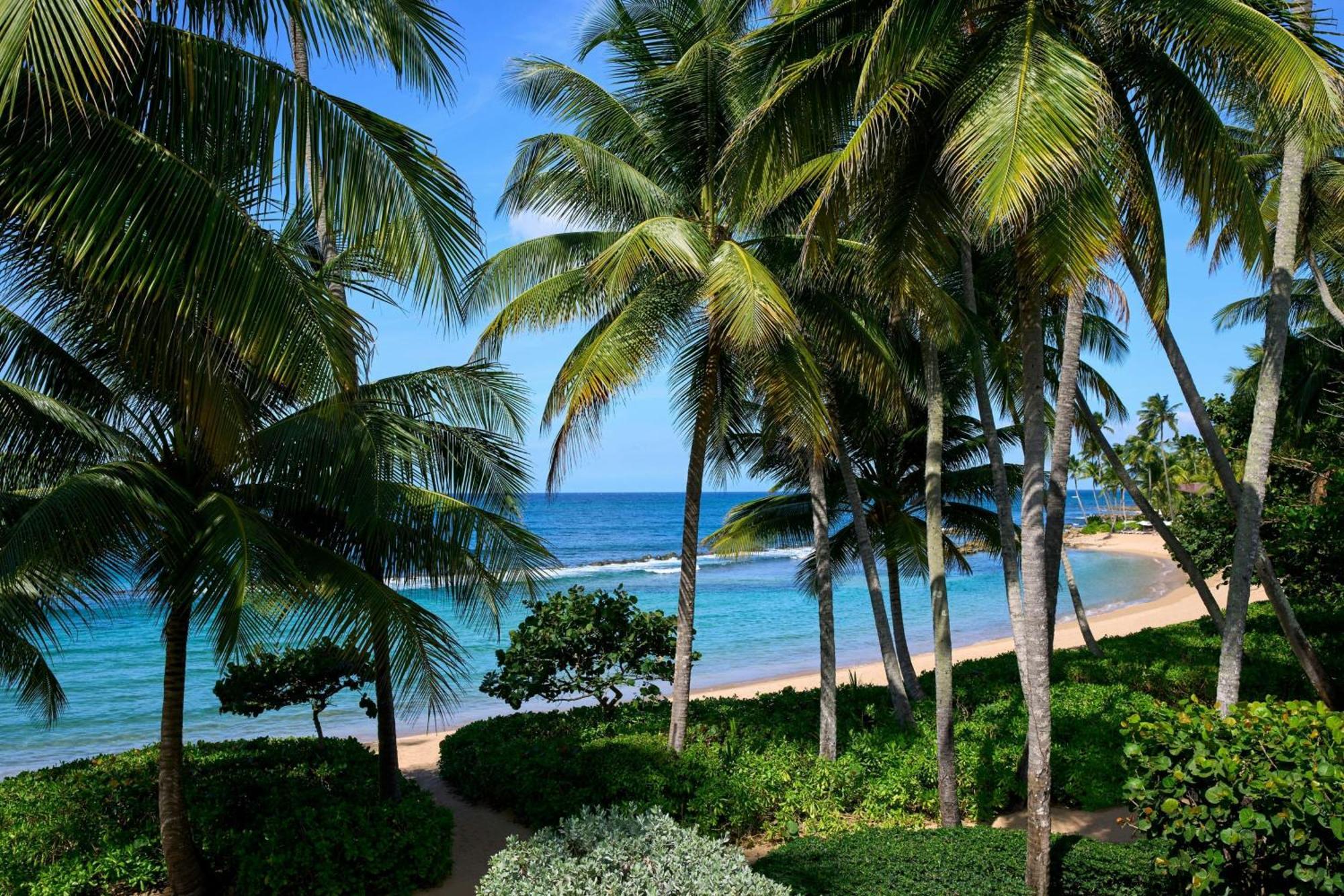 Beach, A Ritz-carlton Reserve 5*