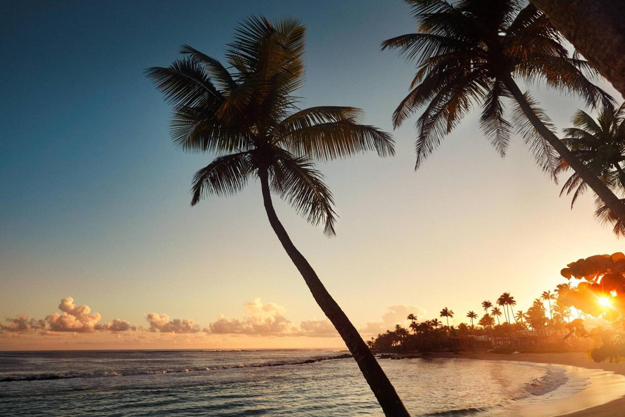 Beach, A Ritz-carlton Reserve 5*