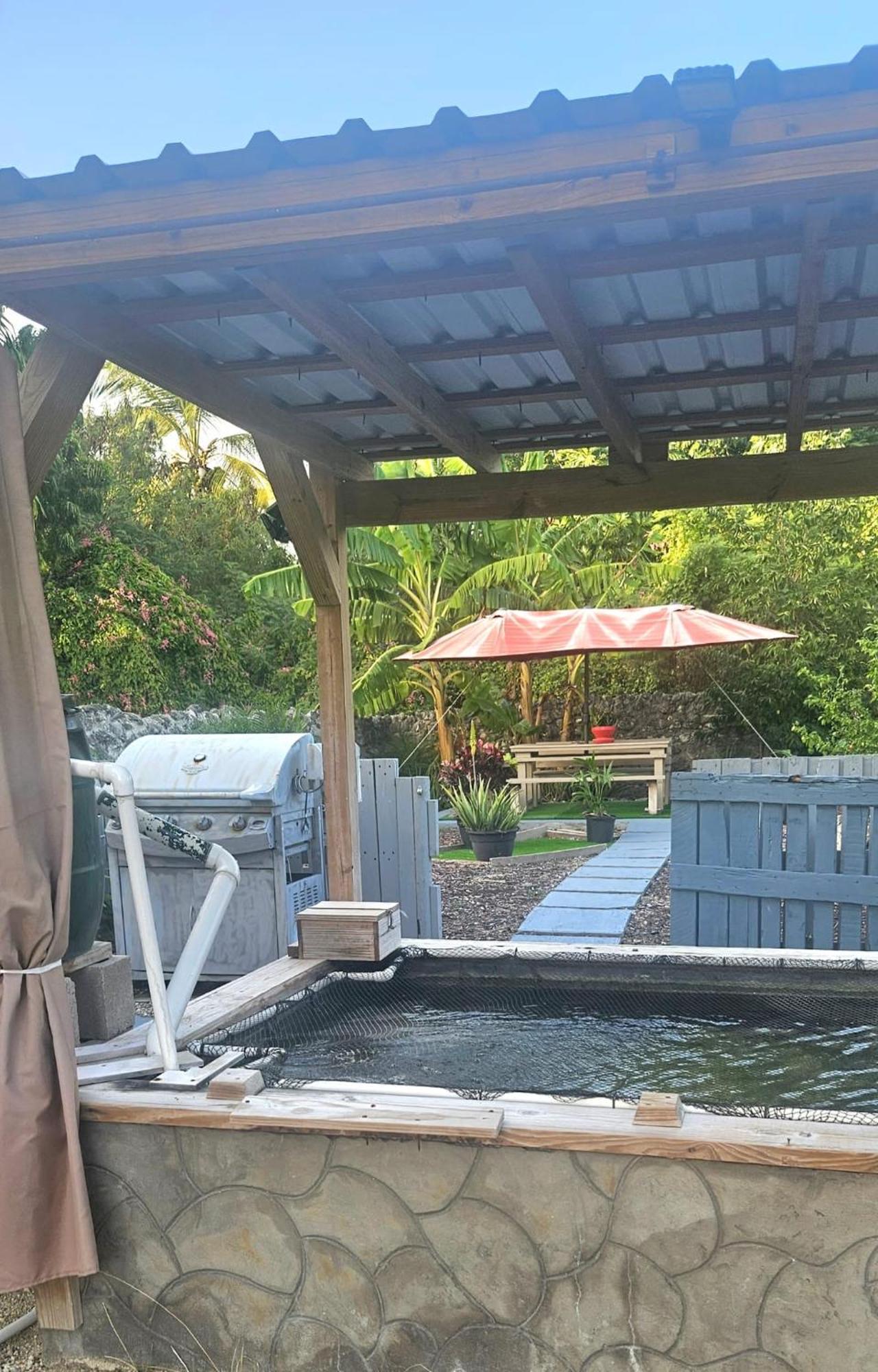 Guest house Shkyblue