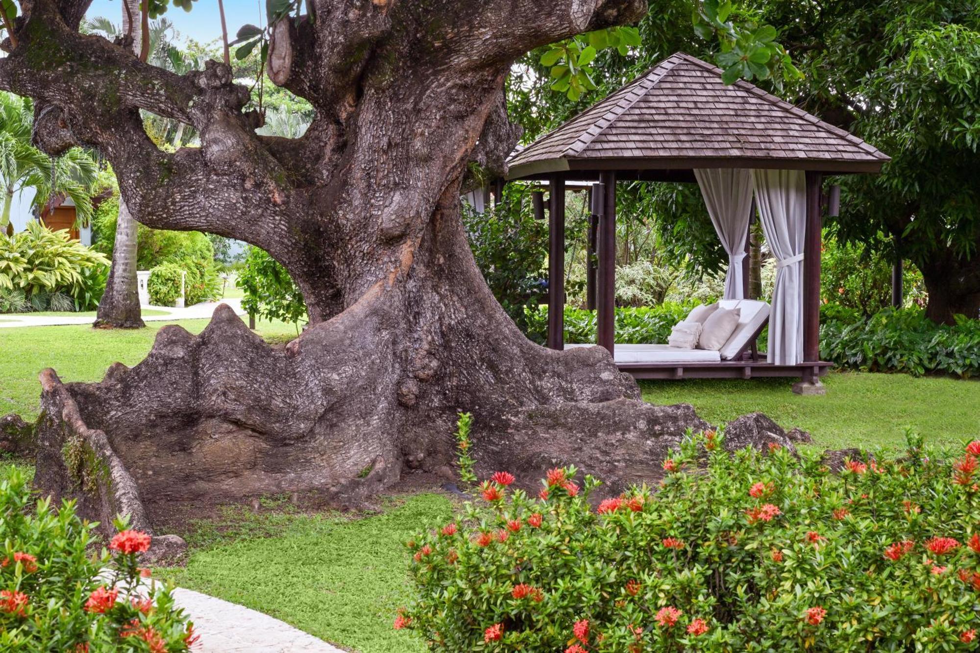 Resort Sandals Halcyon - Couples Only (adults Only) Vigie