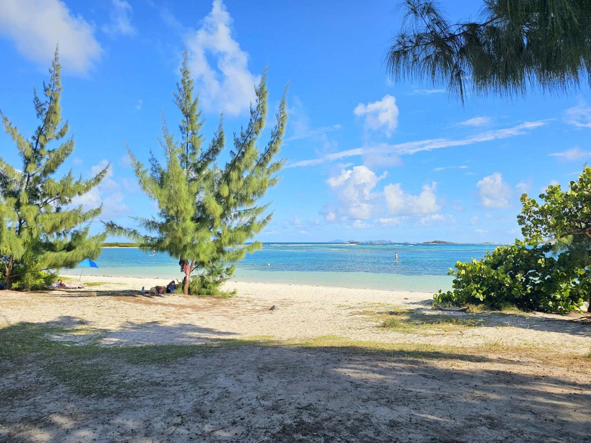 Apartment Spacieux Avec Piscine Et Vue A Saint-martin - Fr-1-734-60 Marigot (Saint Martin)