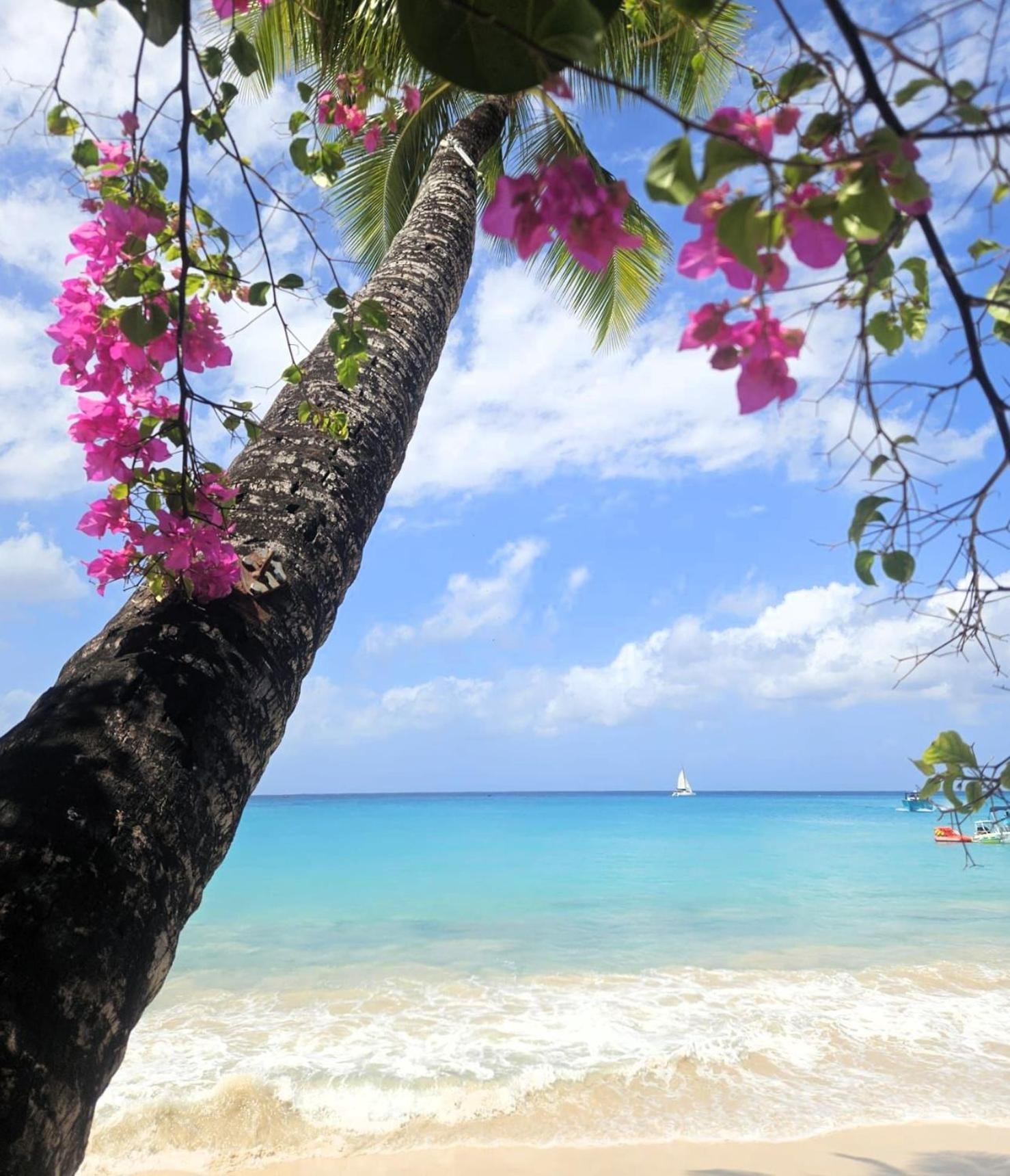 Breezy Vista On The Terrace - West Coast, Saint James, Barbados Saint James