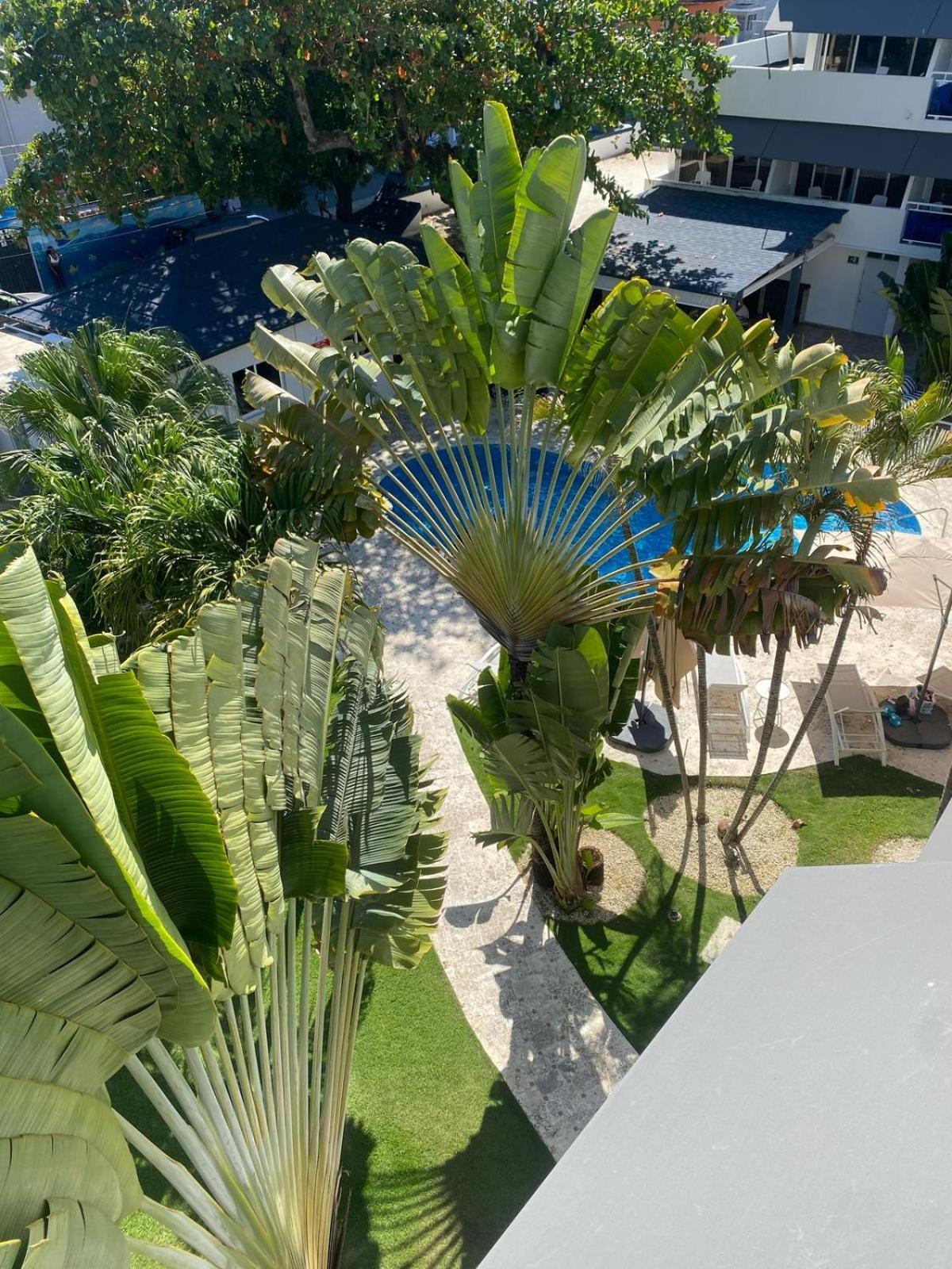 New Garden Hotel