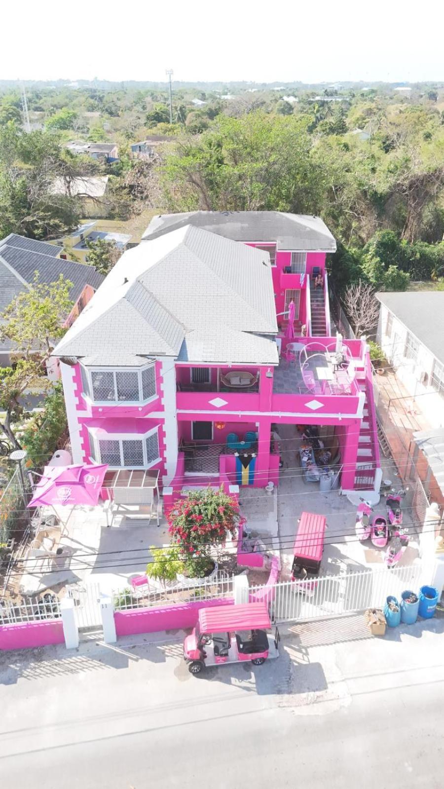 Albergue Da Pink And White Palace