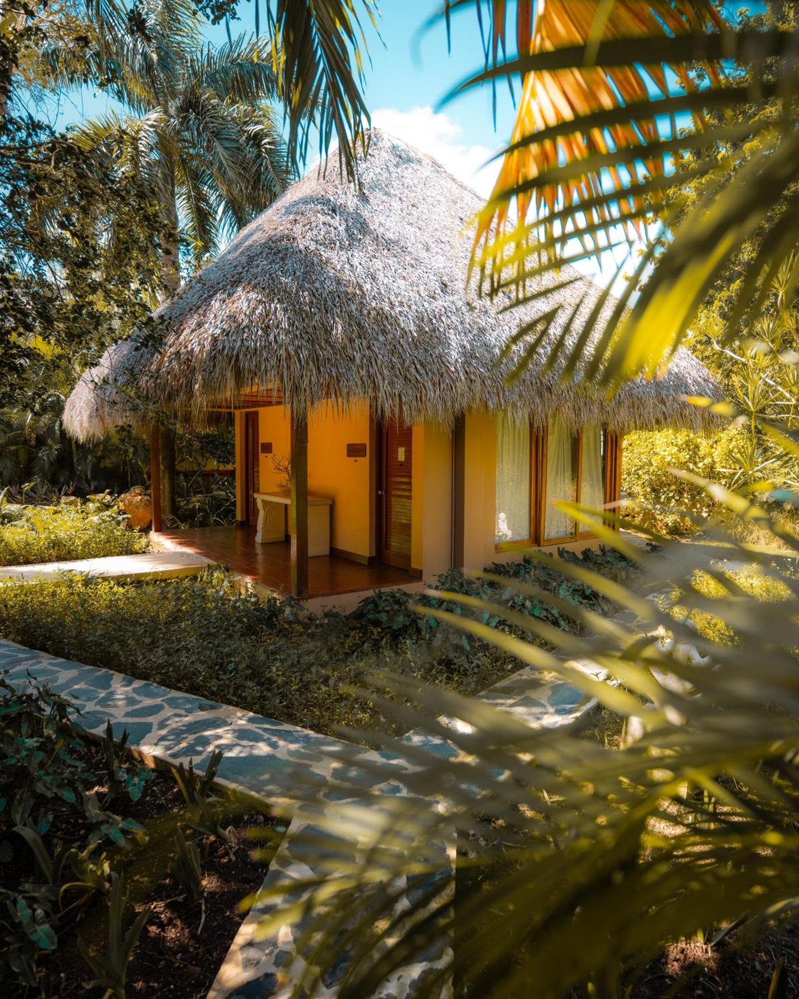 Zoetry Agua Resort
