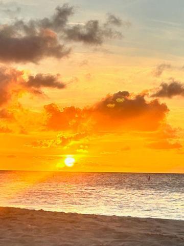 Apartment Treasures At The Pearl Eagle Palm Beach