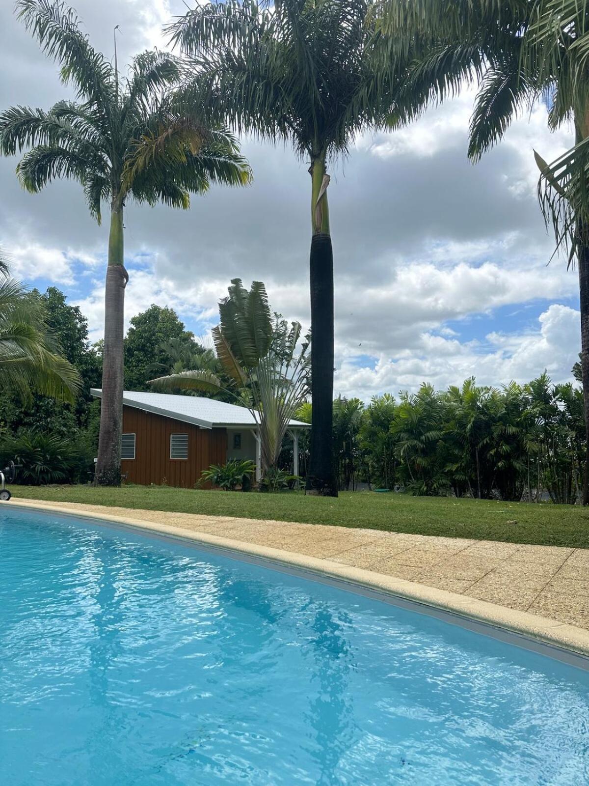 Sanoa Lodge, Evasion Et Confort Au Centre De La Guadeloupe * Baie-Mahault