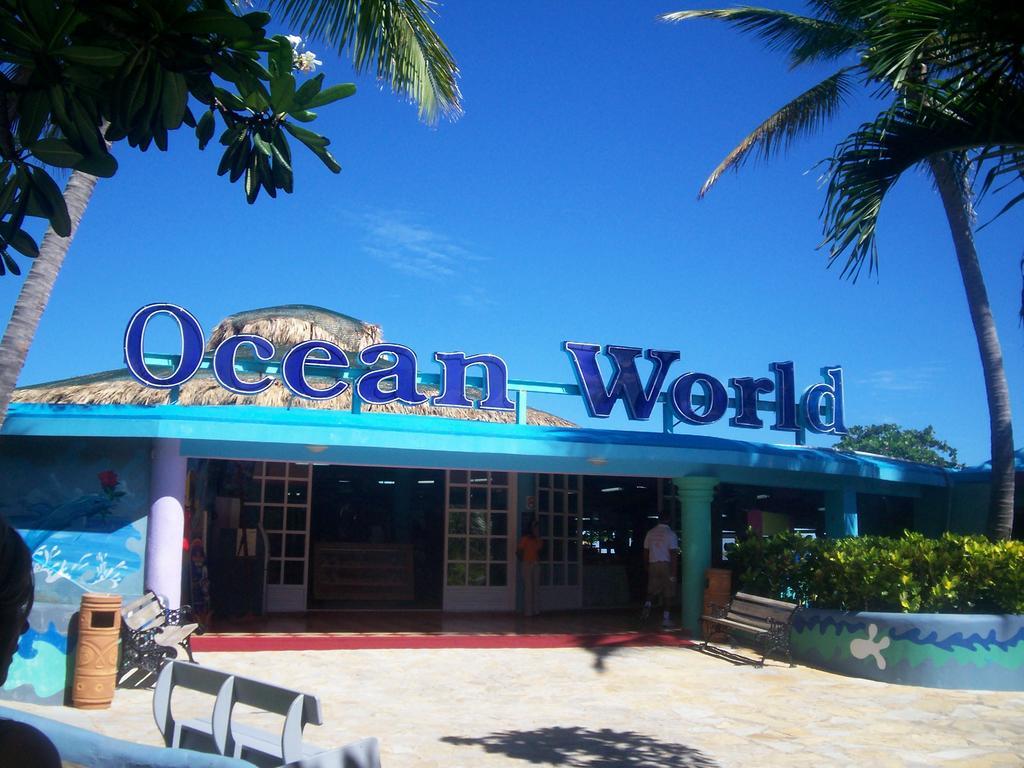 In Plaza 2 * Sosua