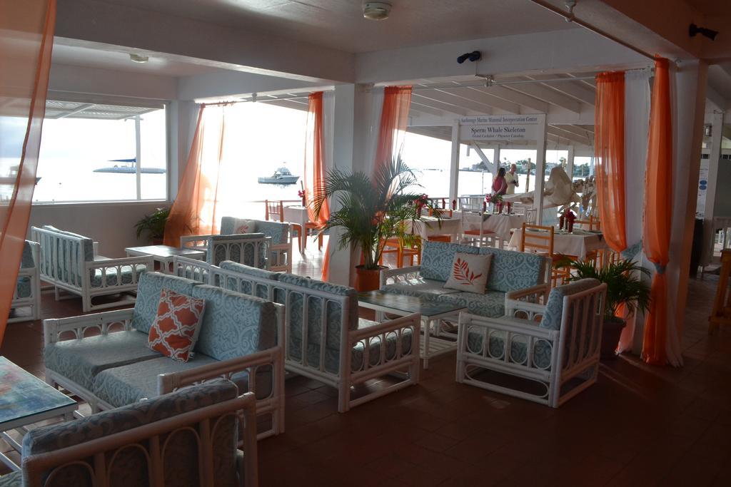 Anchorage Hotel, Whale Watch & Dive Center